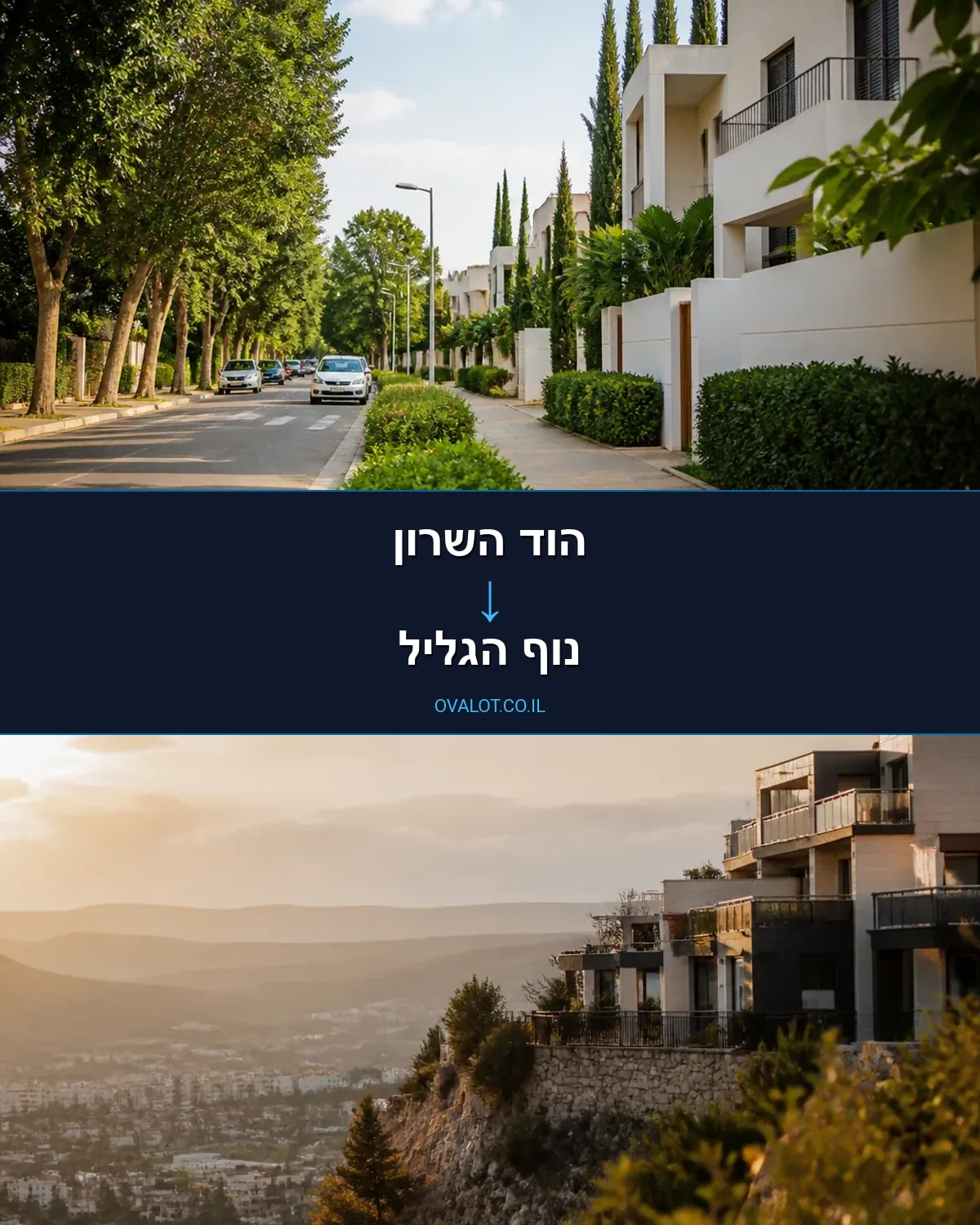 שירותי אריזה מהוד השרון לנוף הגליל