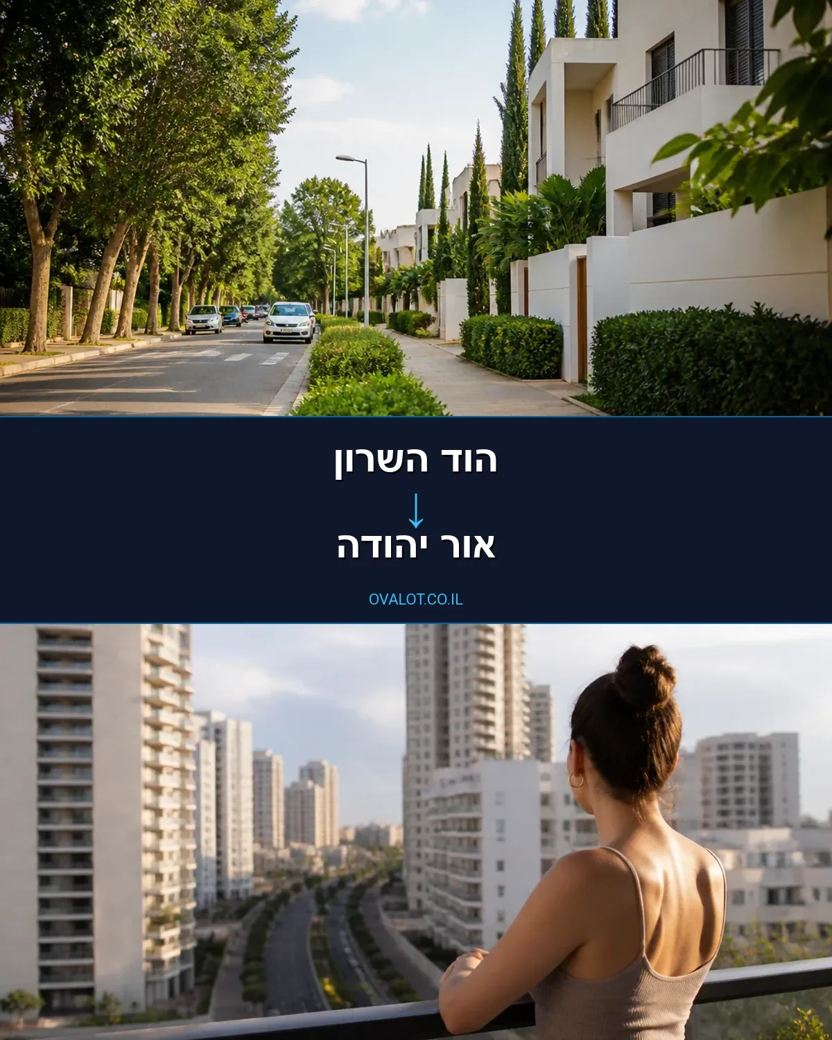 הובלות יצירות אמנות מהוד השרון לאור יהודה