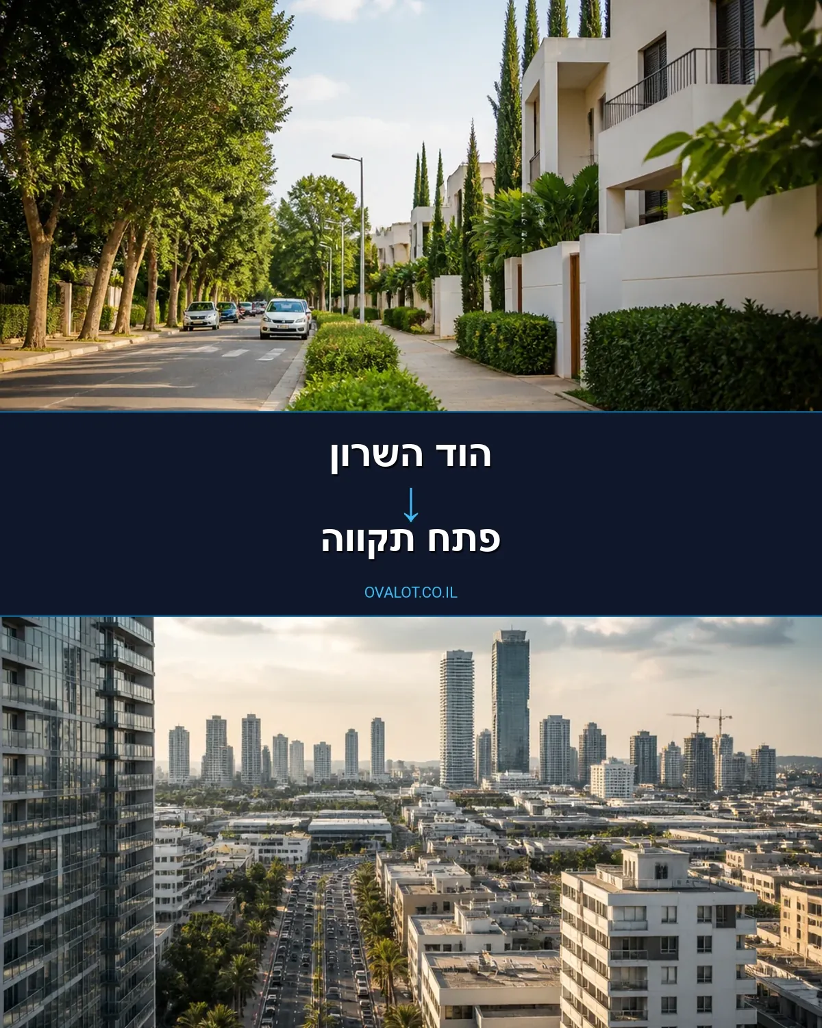 הובלות עם מנוף מהוד השרון לפתח תקווה