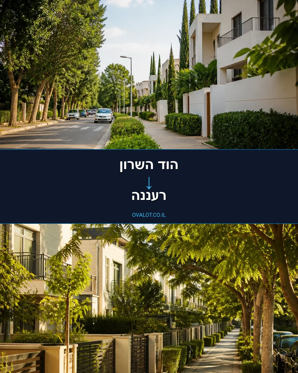 הובלות בתים פרטיים מהוד השרון לרעננה