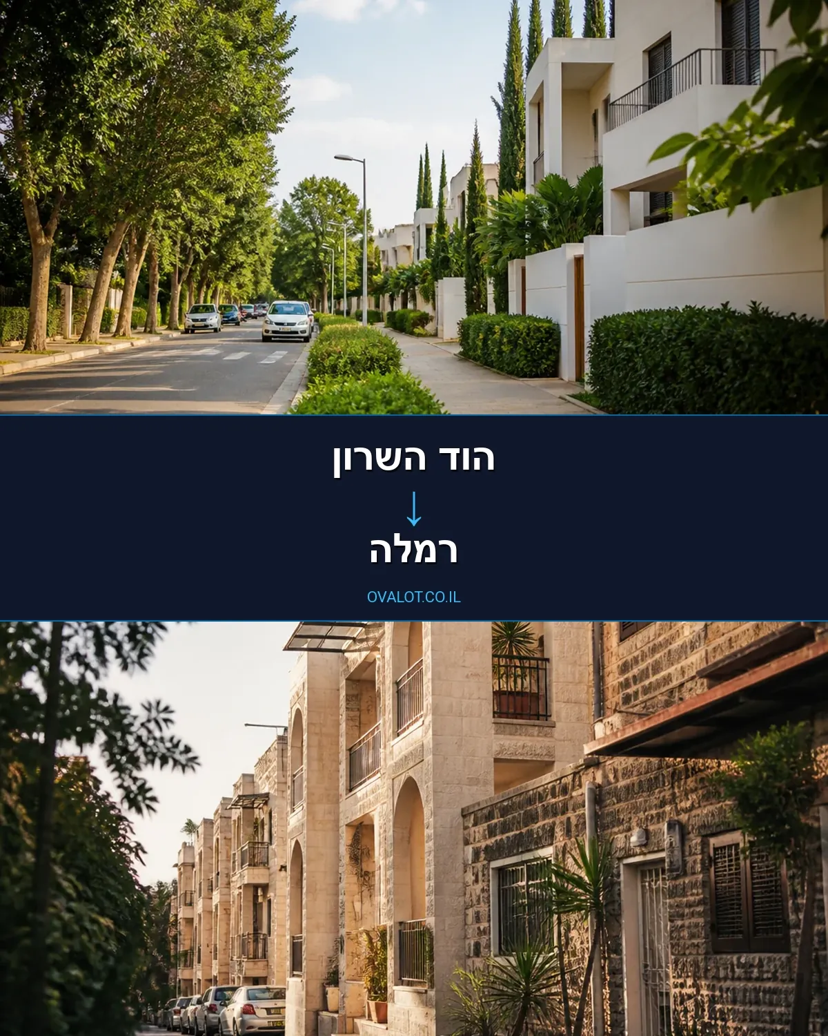 הובלות עם מעלית מהוד השרון לרמלה