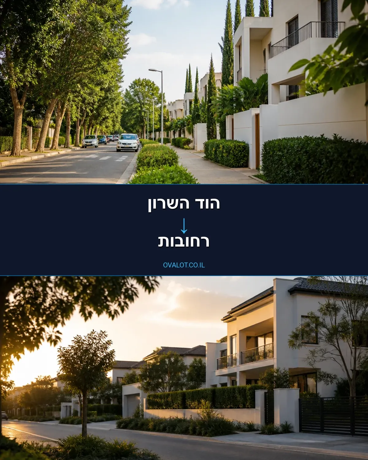 הובלות עם מעלית מהוד השרון לרחובות