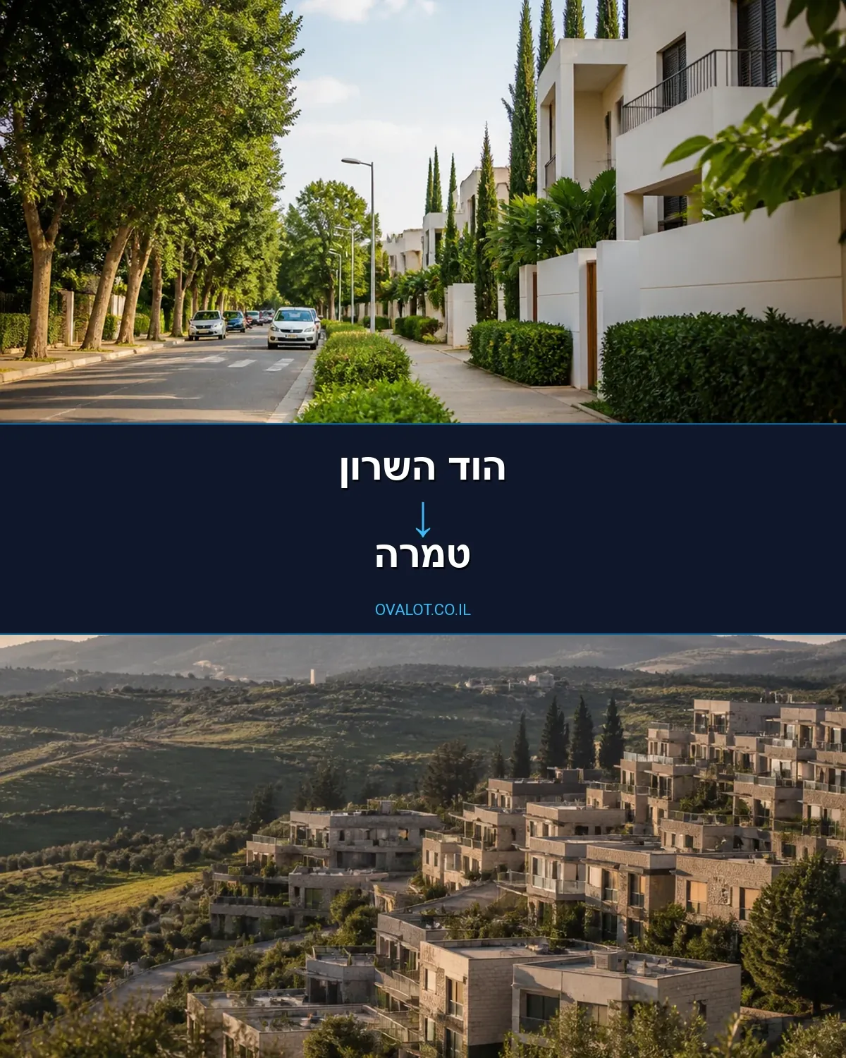 הובלות עם מנוף מהוד השרון לטמרה