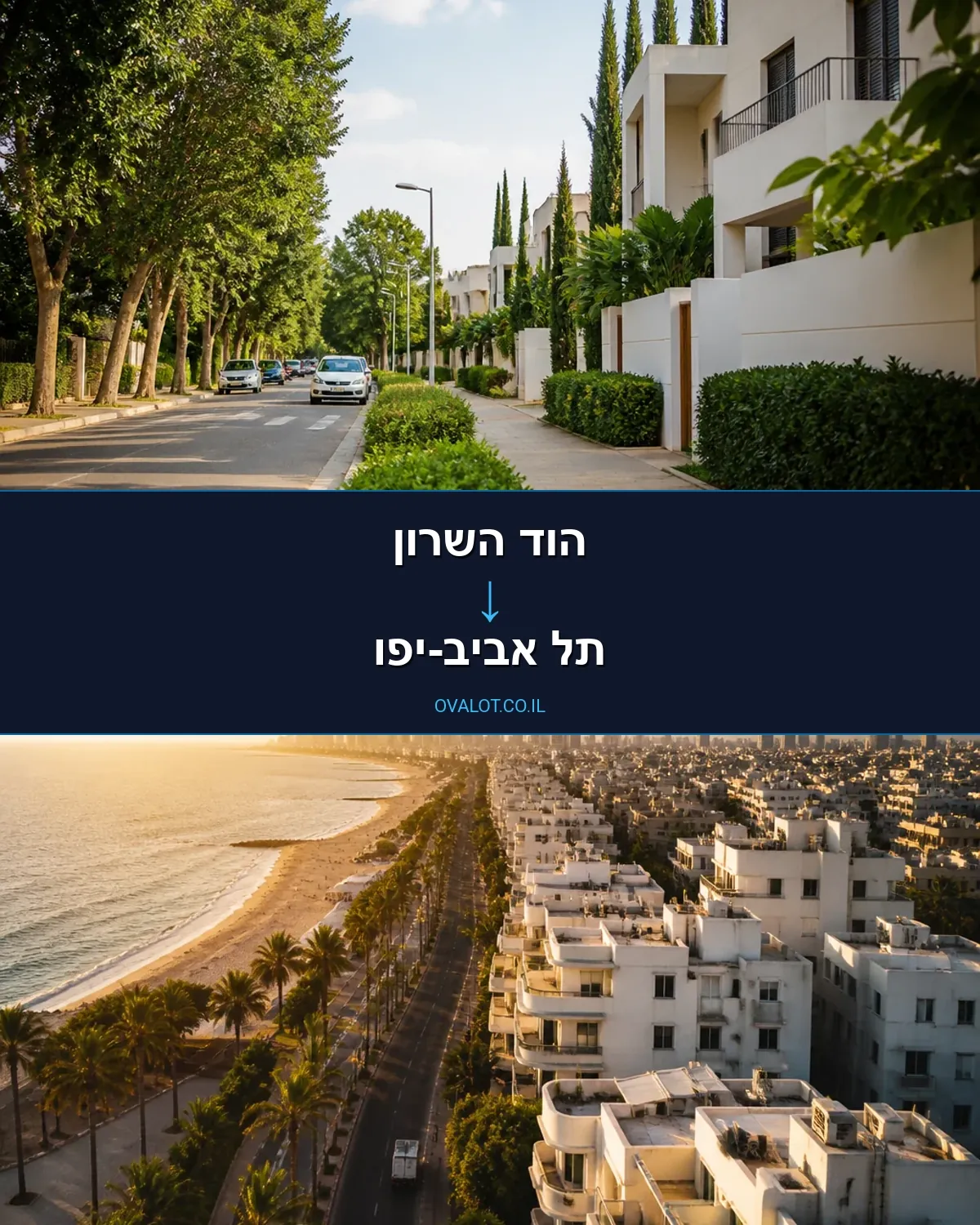 הובלות עם מנוף מהוד השרון לתל אביב-יפו