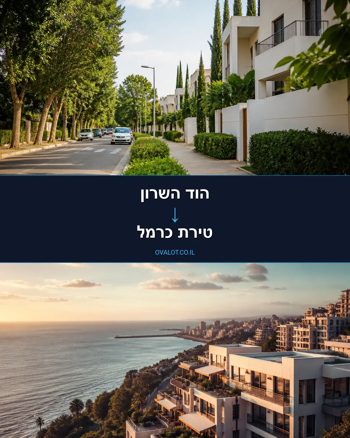 הובלות עם מעלית מהוד השרון לטירת כרמל