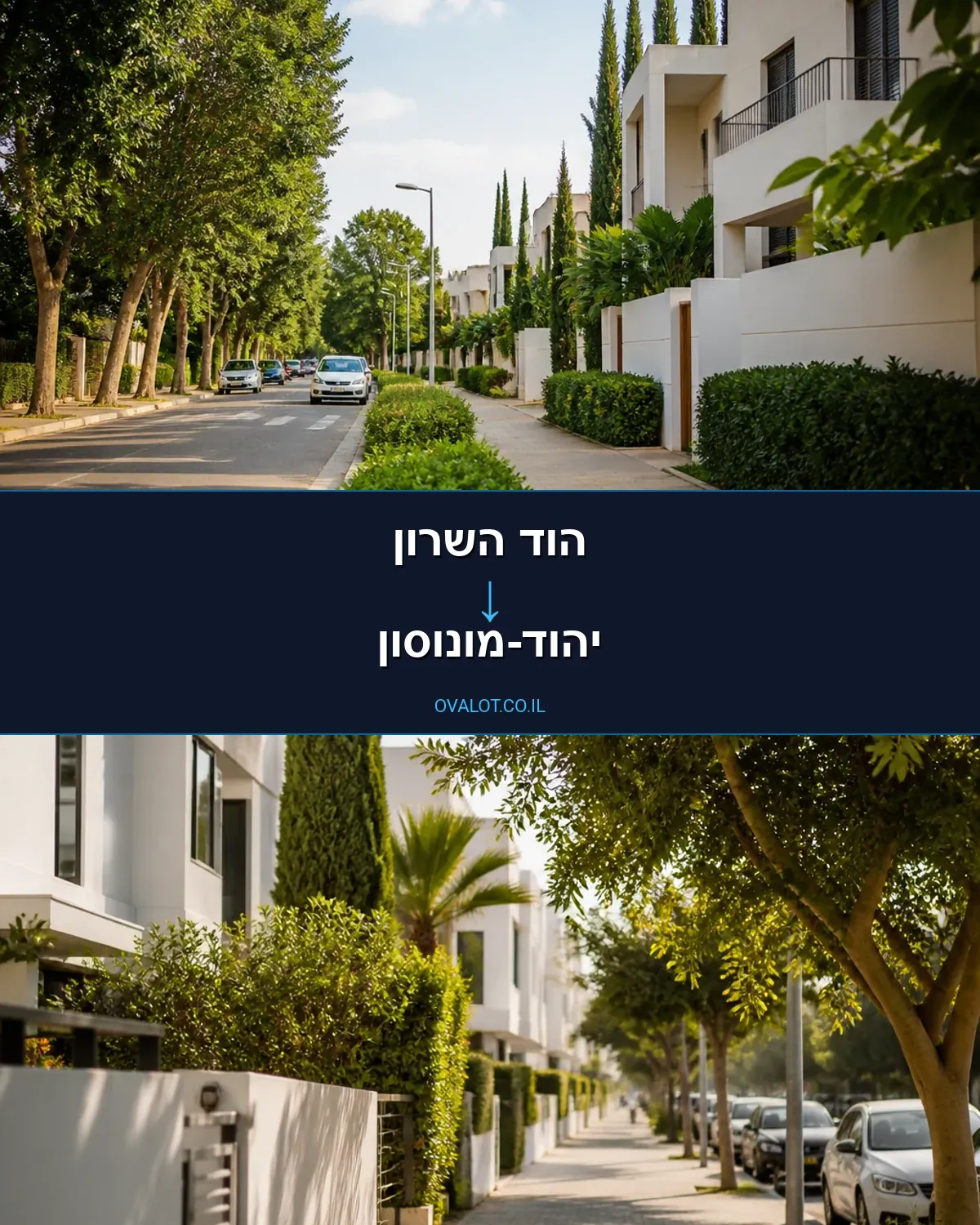 הובלות עם מנוף מהוד השרון ליהוד-מונוסון
