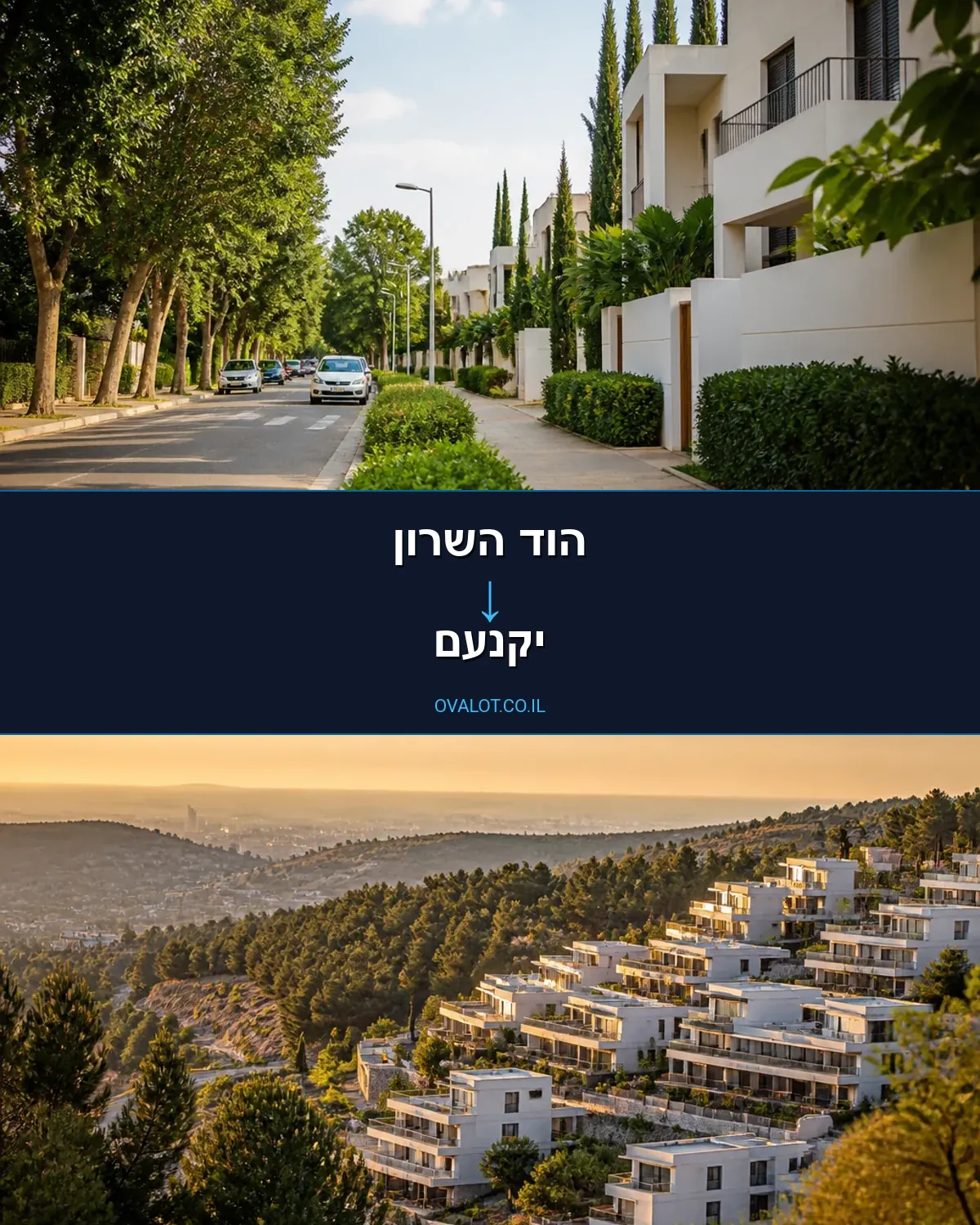 הובלות דירה מהוד השרון ליקנעם