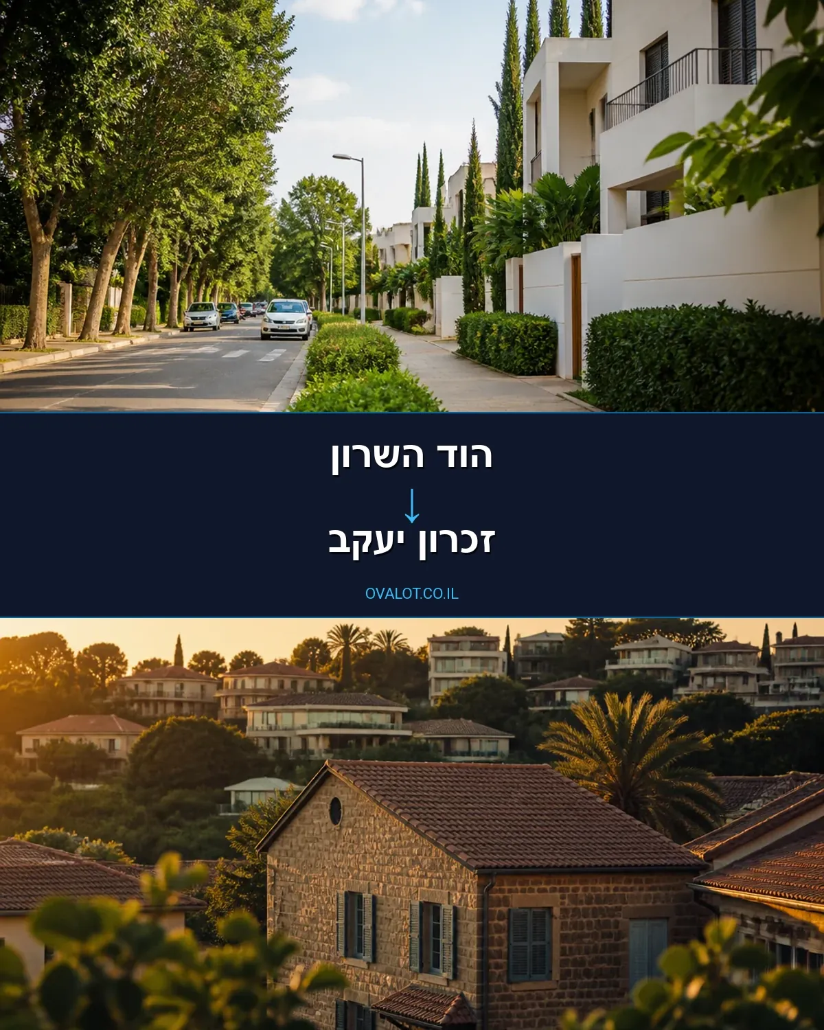 הובלות בתים פרטיים מהוד השרון לזכרון יעקב