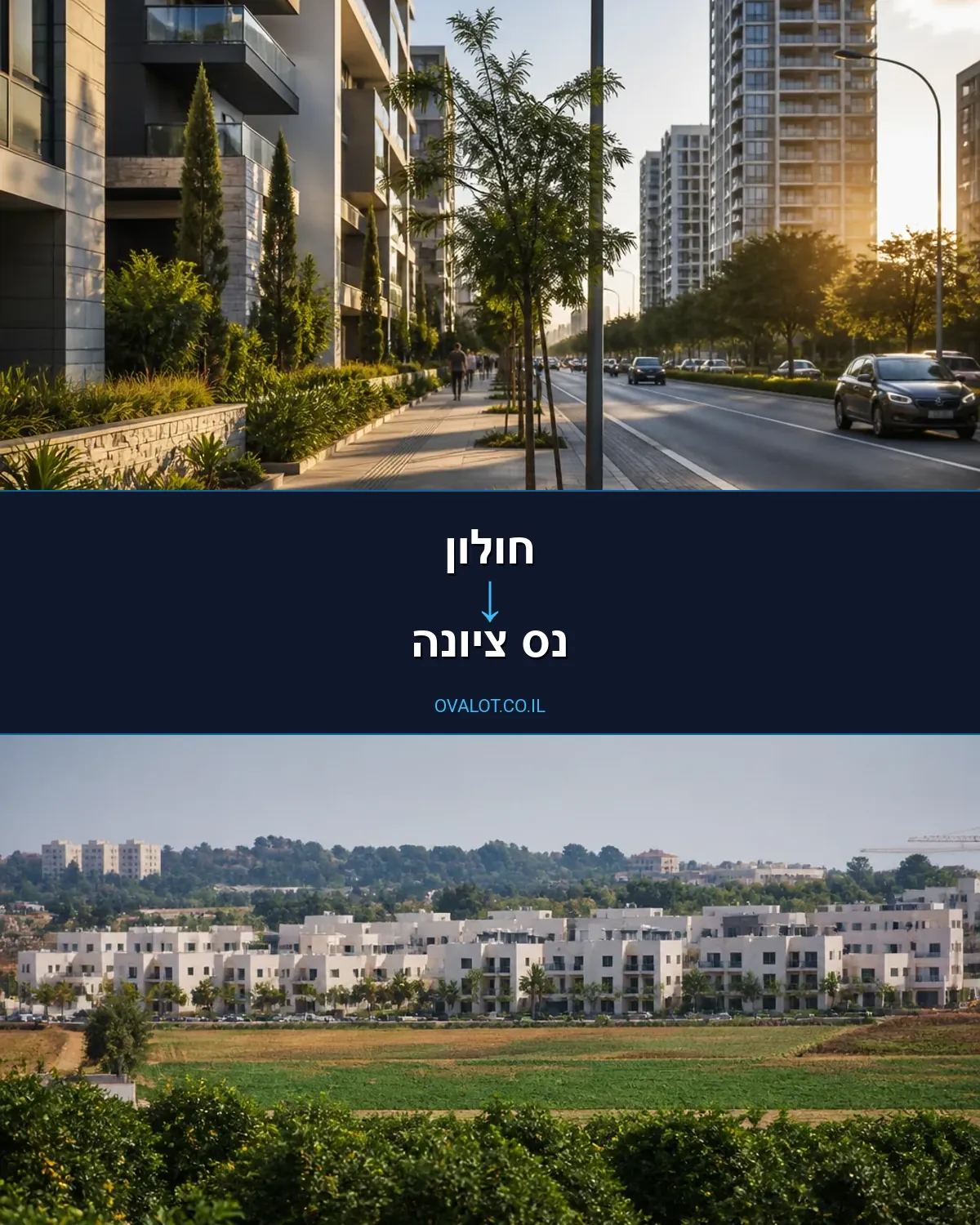 הובלות עם מנוף מחולון לנס ציונה