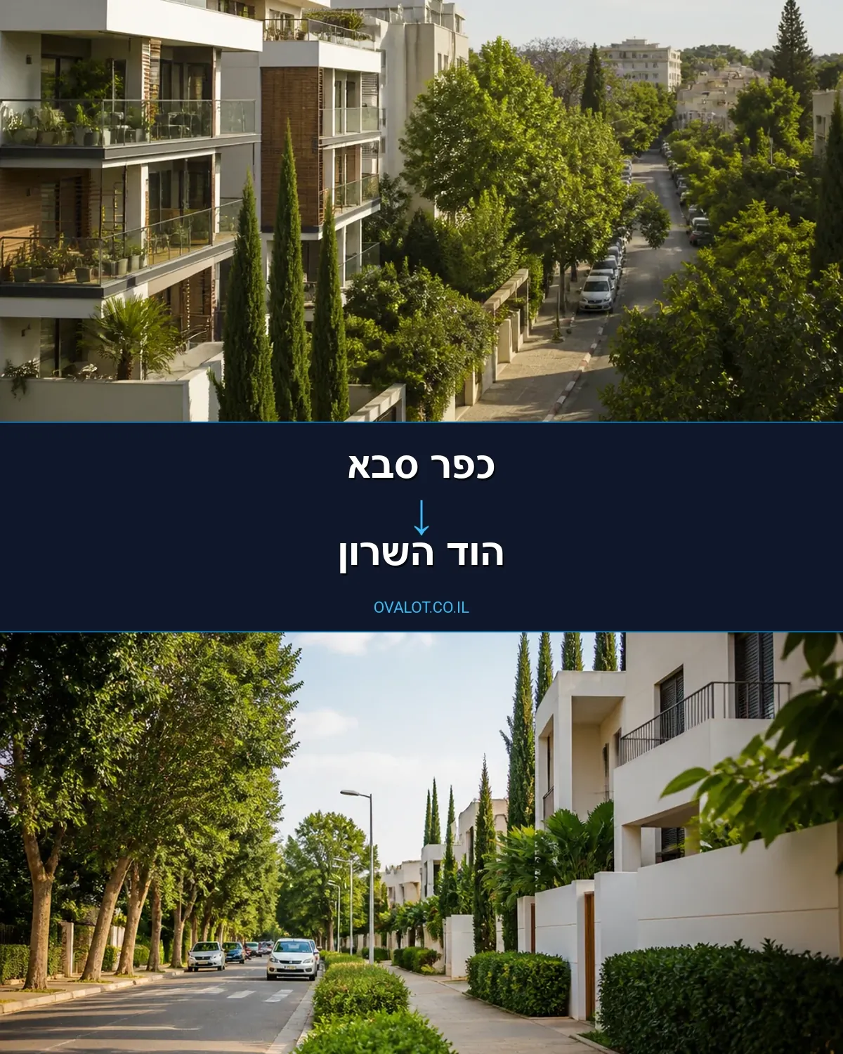הובלות כספות מכפר סבא להוד השרון