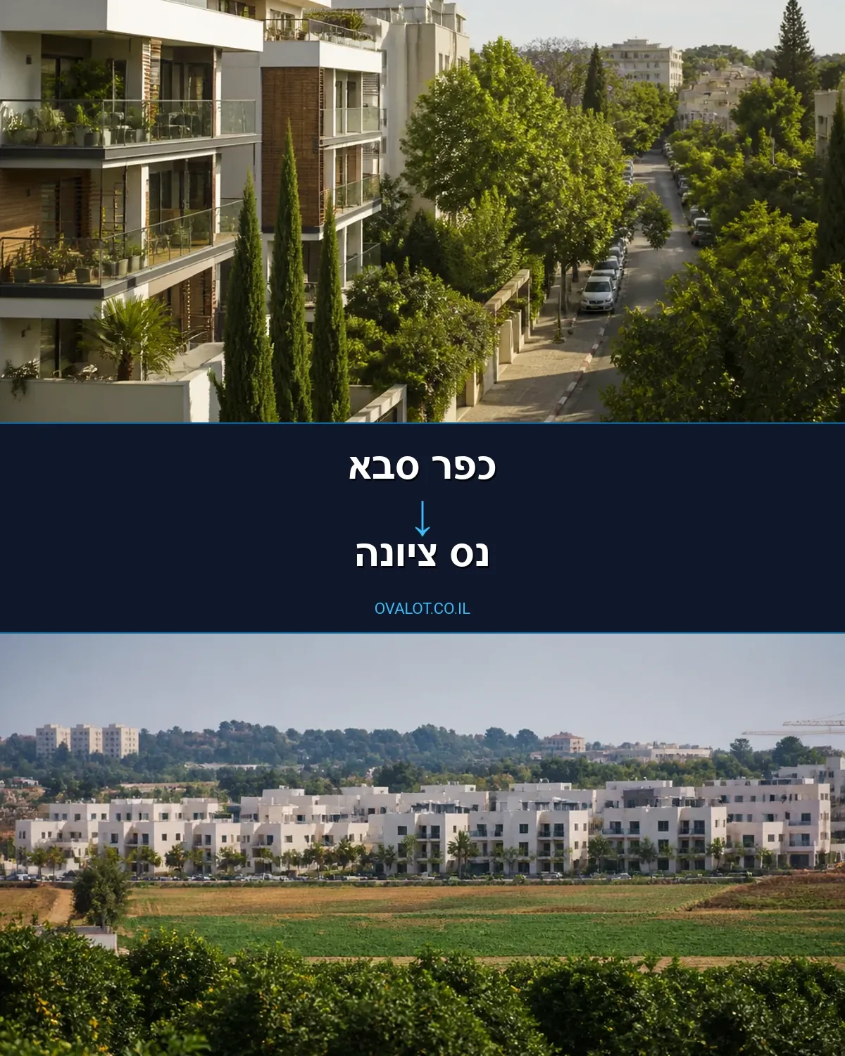 הובלות עם מנוף מכפר סבא לנס ציונה
