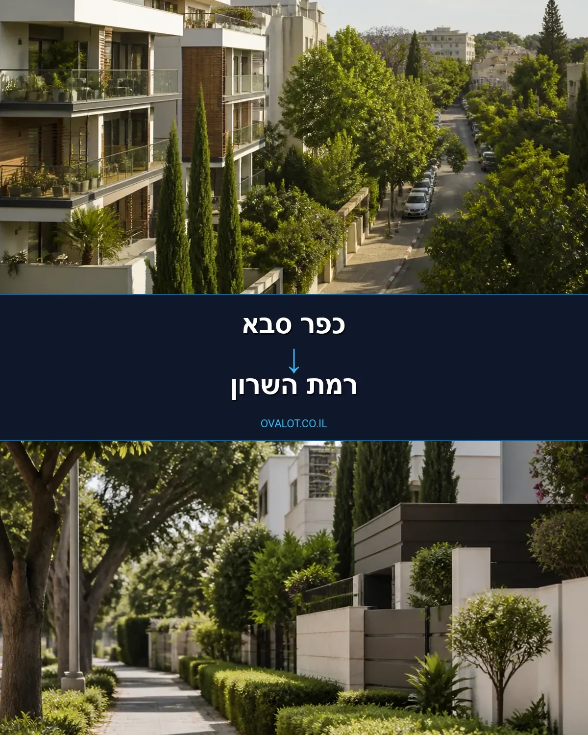 הובלות יצירות אמנות מכפר סבא לרמת השרון