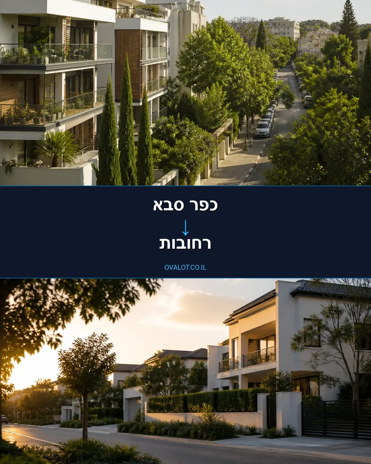 הובלות יצירות אמנות מכפר סבא לרחובות