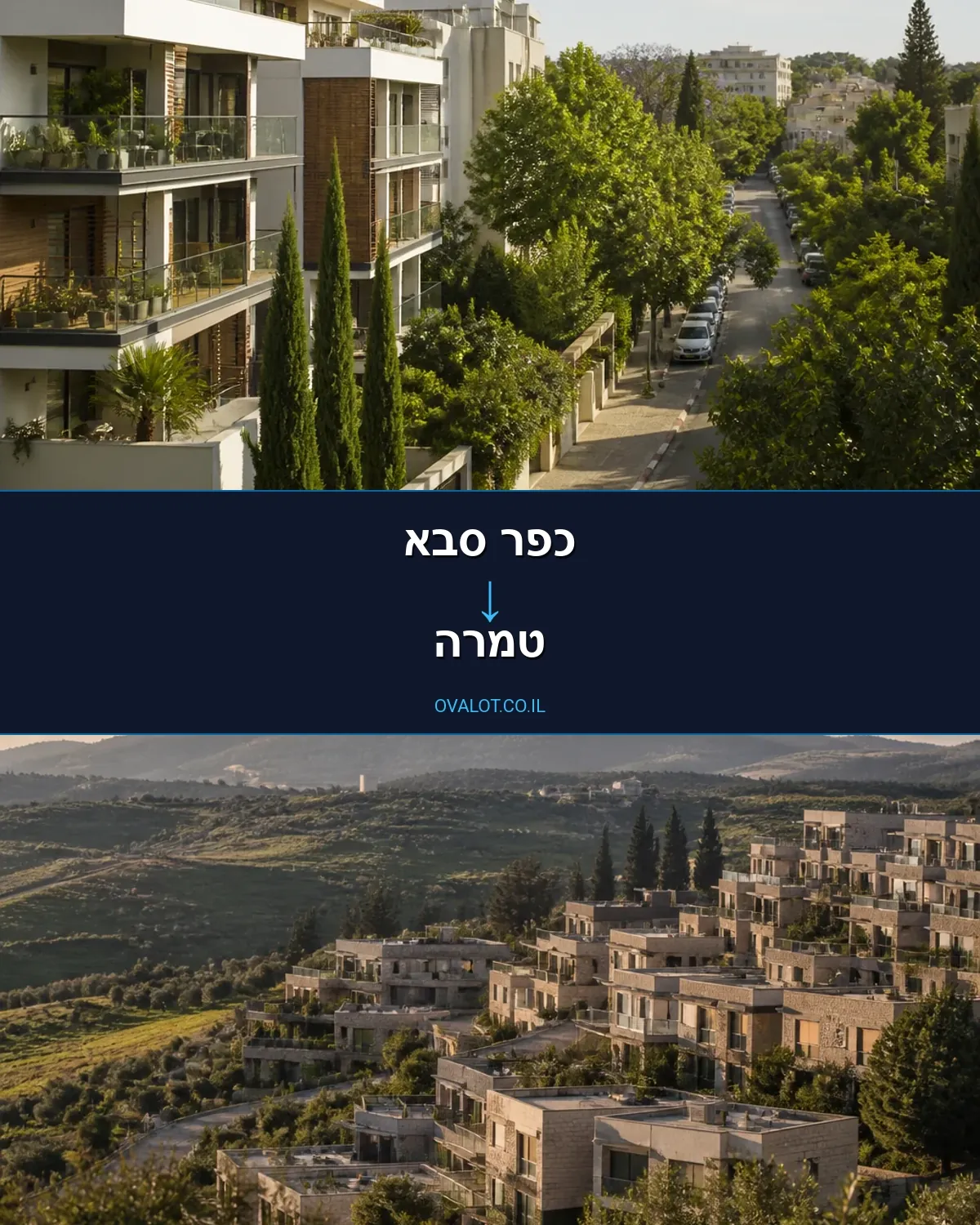 הובלות יצירות אמנות מכפר סבא לטמרה