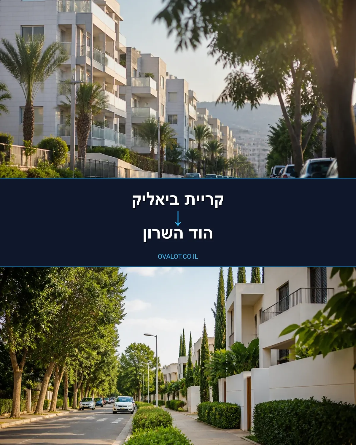 הובלות יצירות אמנות מקריית ביאליק להוד השרון