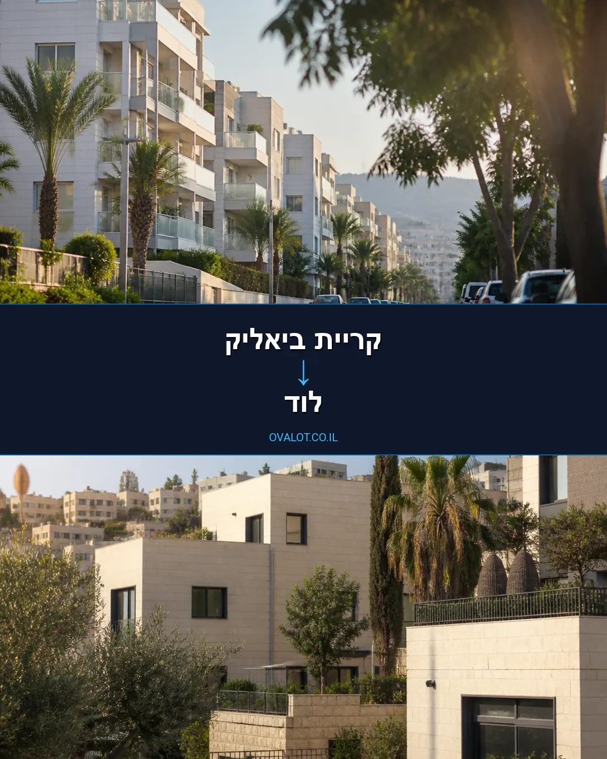 הובלות יצירות אמנות מקריית ביאליק ללוד