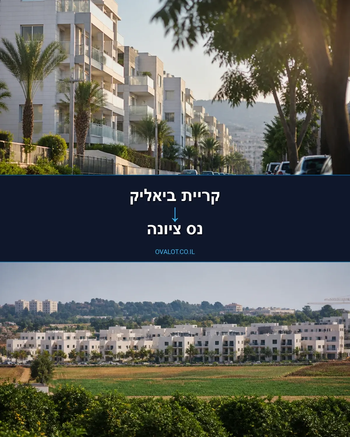 הובלות דירה מקריית ביאליק לנס ציונה