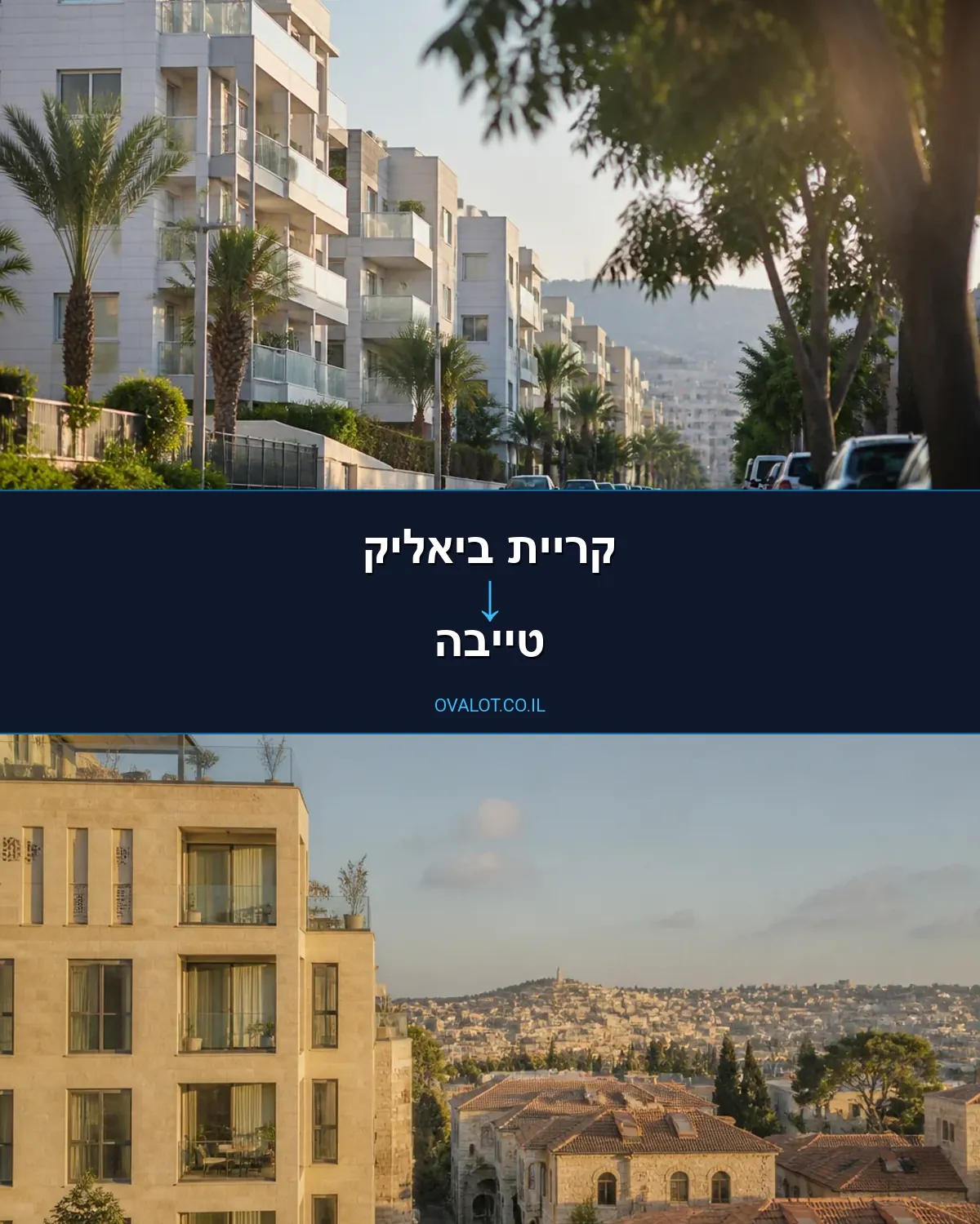 הובלות יצירות אמנות מקריית ביאליק לטייבה