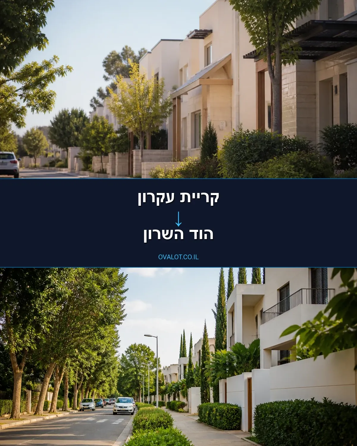 הובלות יצירות אמנות מקריית עקרון להוד השרון