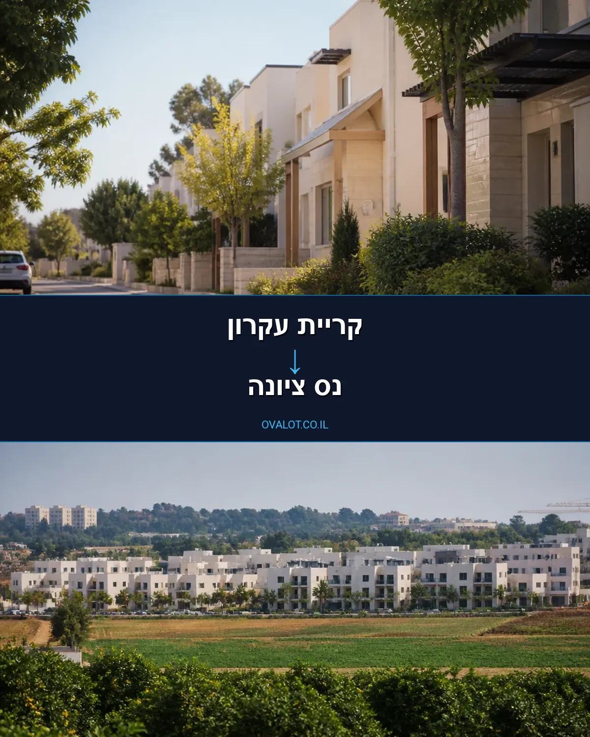 הובלות עם מנוף מקריית עקרון לנס ציונה