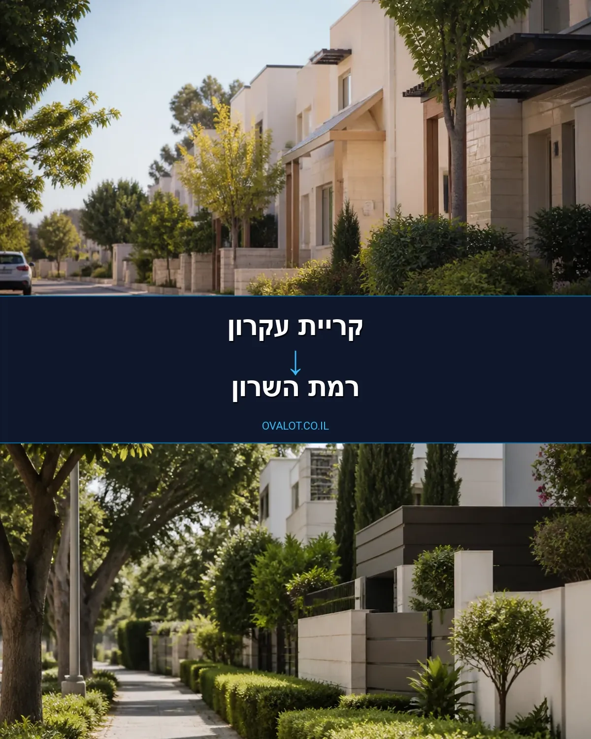 הובלה בקירור מקריית עקרון לרמת השרון