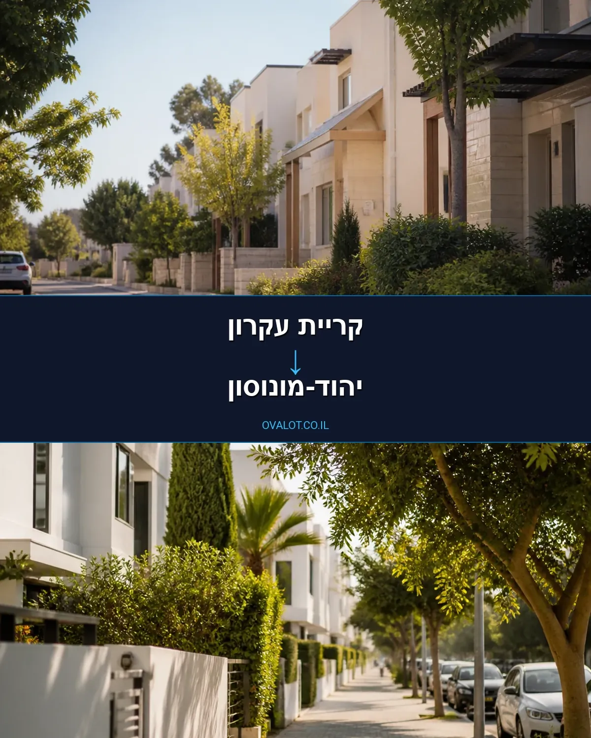 שירותי אריזה מקריית עקרון ליהוד-מונוסון