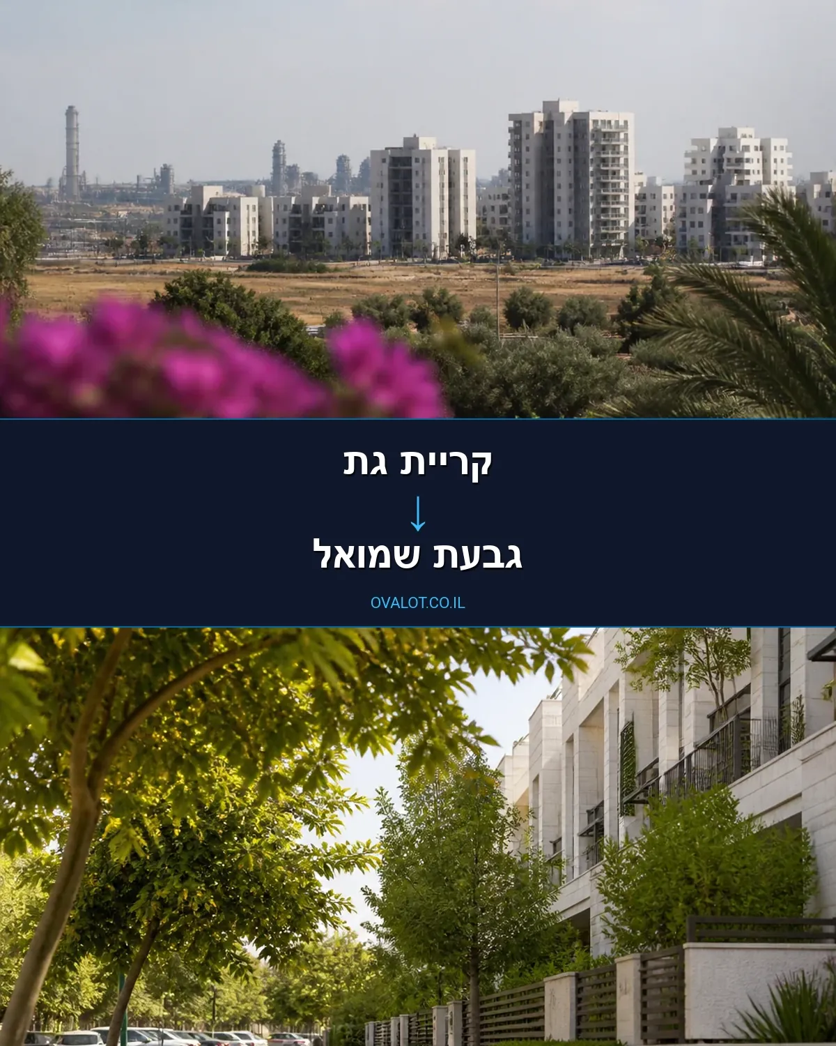 הובלות יצירות אמנות מקריית גת לגבעת שמואל