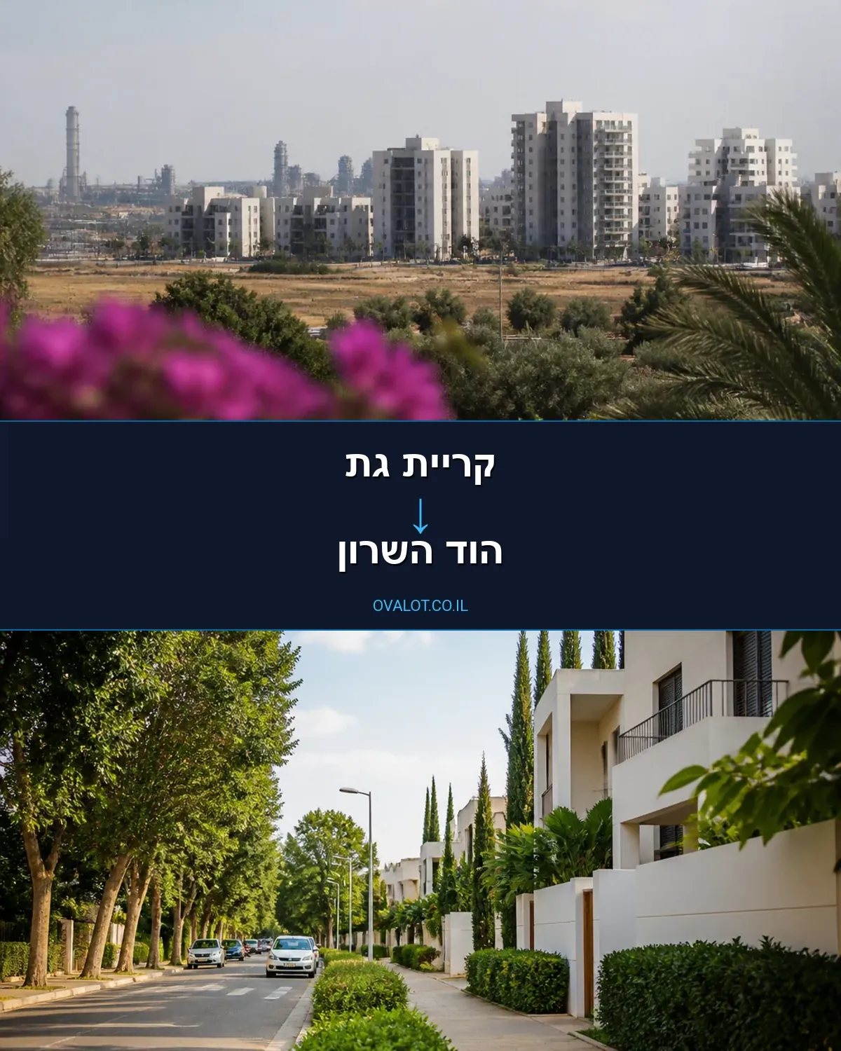 הובלות בתים פרטיים מקריית גת להוד השרון
