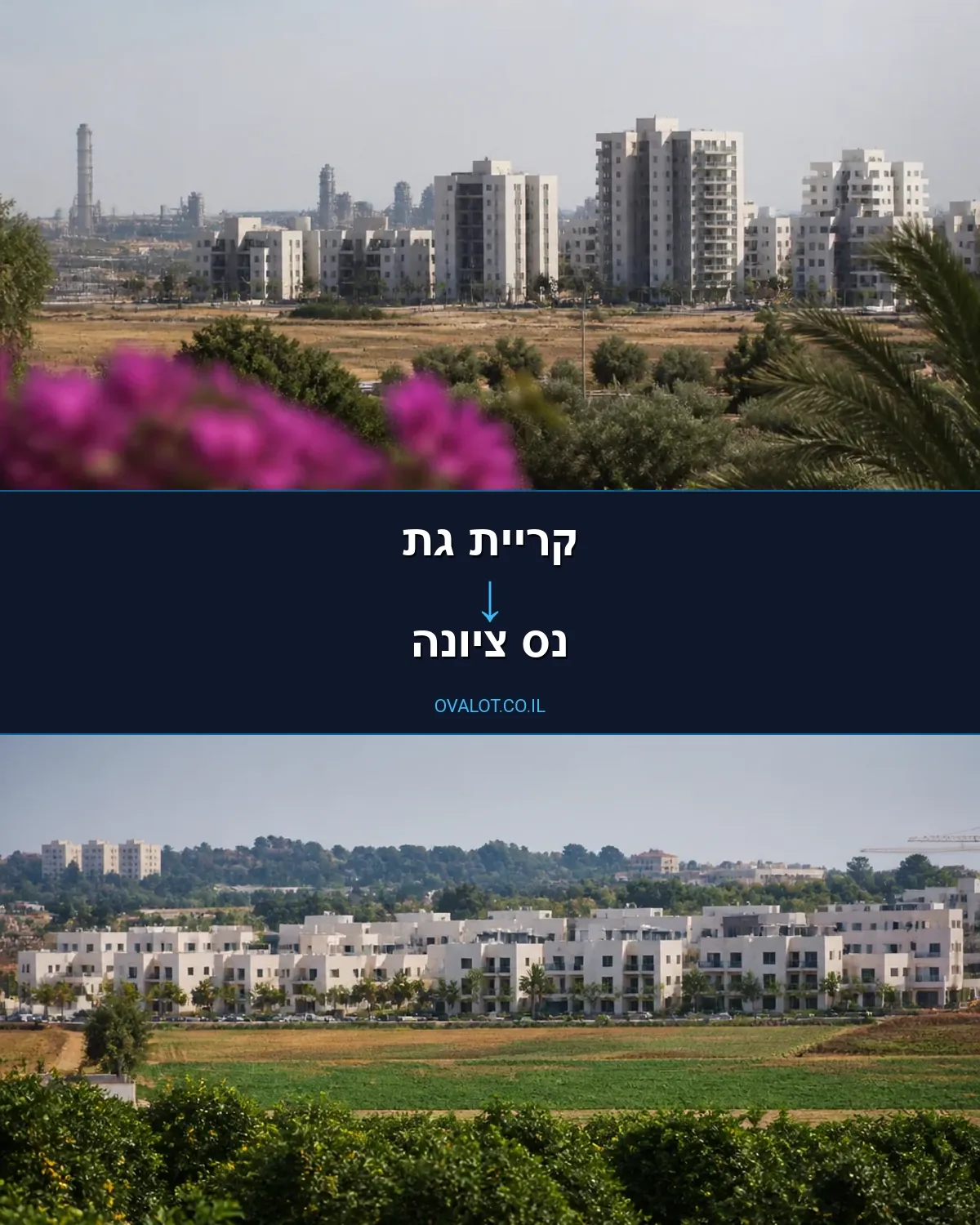 הובלות דירה מקריית גת לנס ציונה