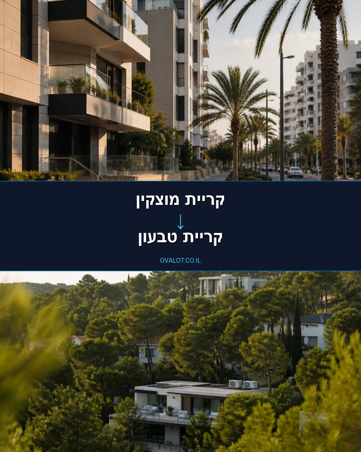 הובלות יצירות אמנות מקריית מוצקין לקריית טבעון