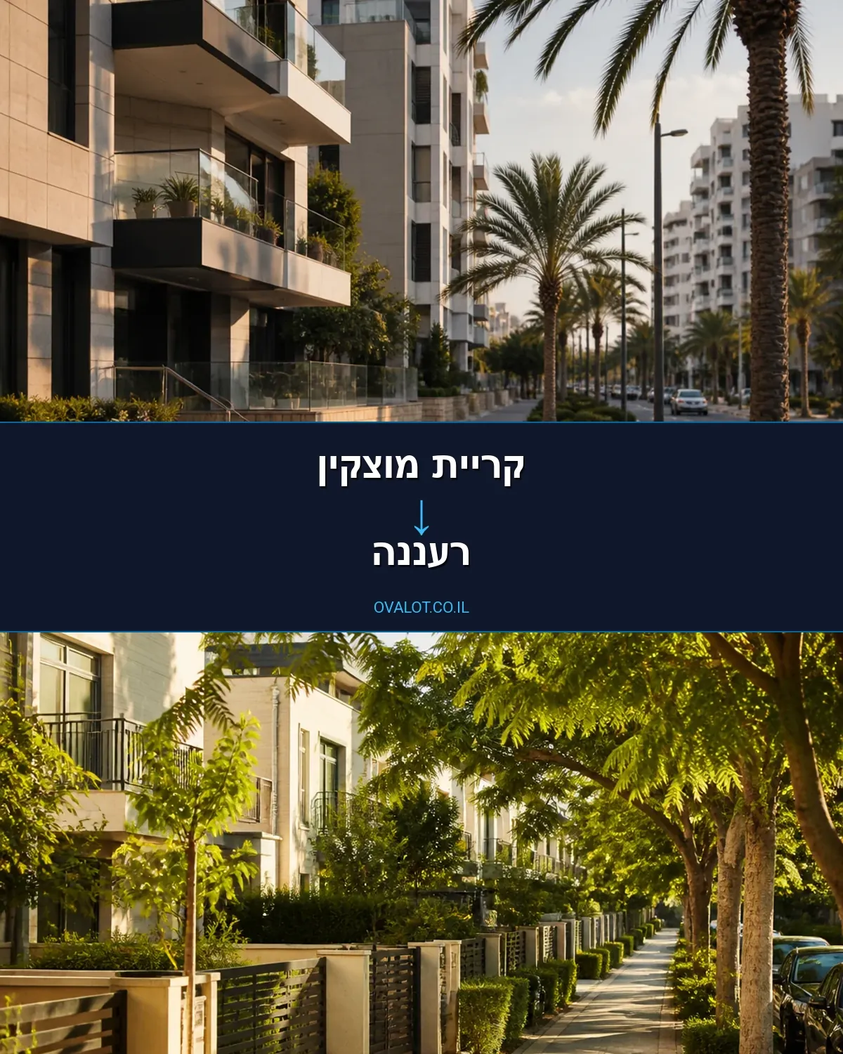 שירותי אריזה מקריית מוצקין לרעננה