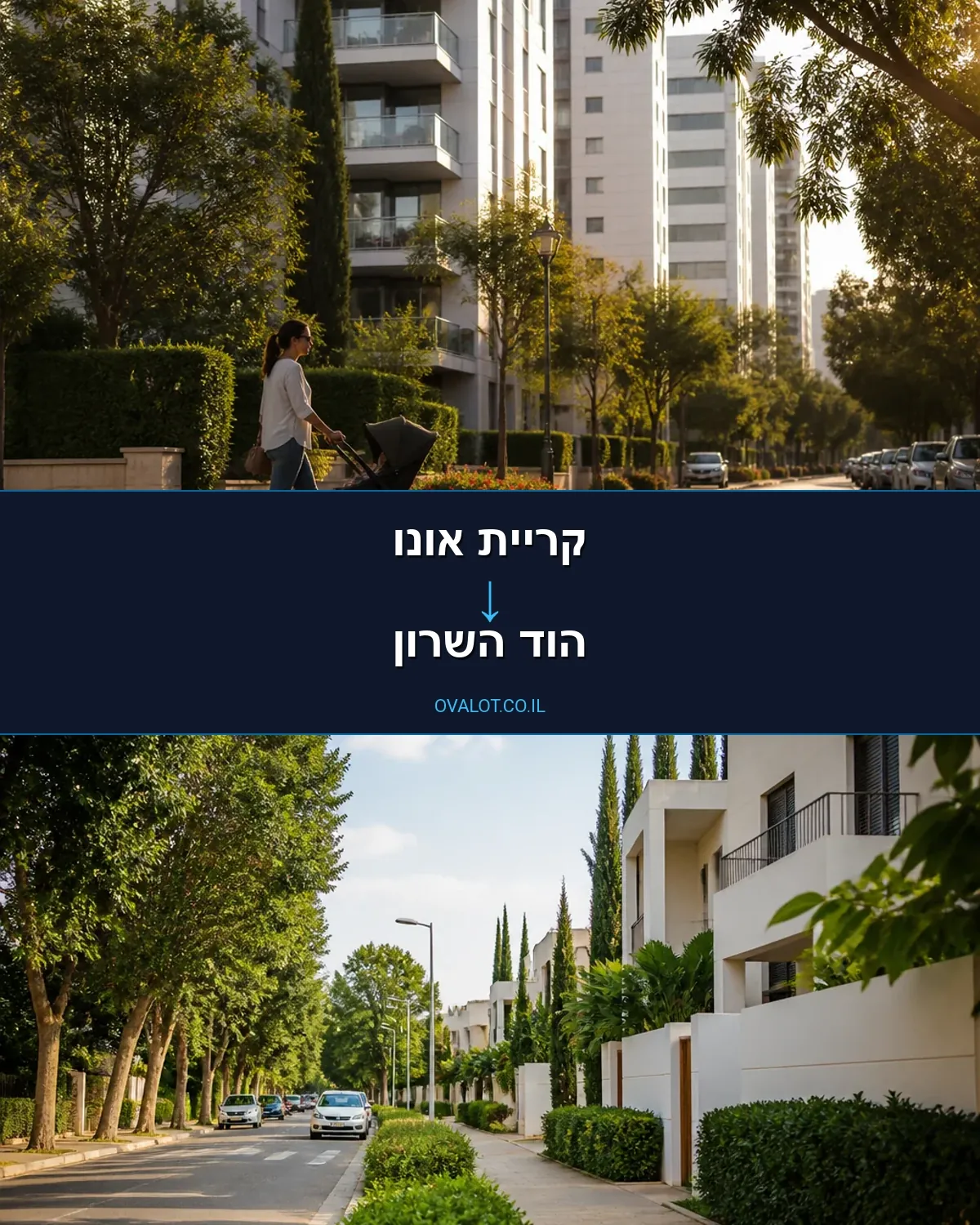 הובלות כספות מקריית אונו להוד השרון