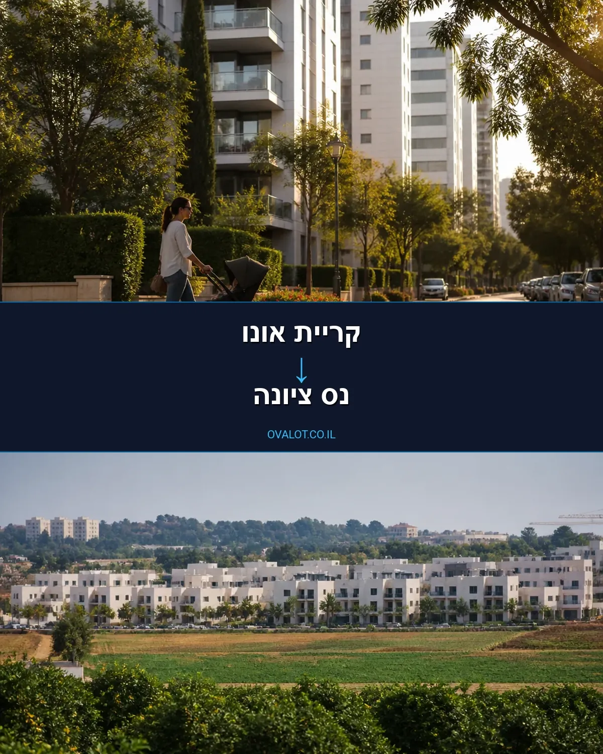 הובלות עם מנוף מקריית אונו לנס ציונה