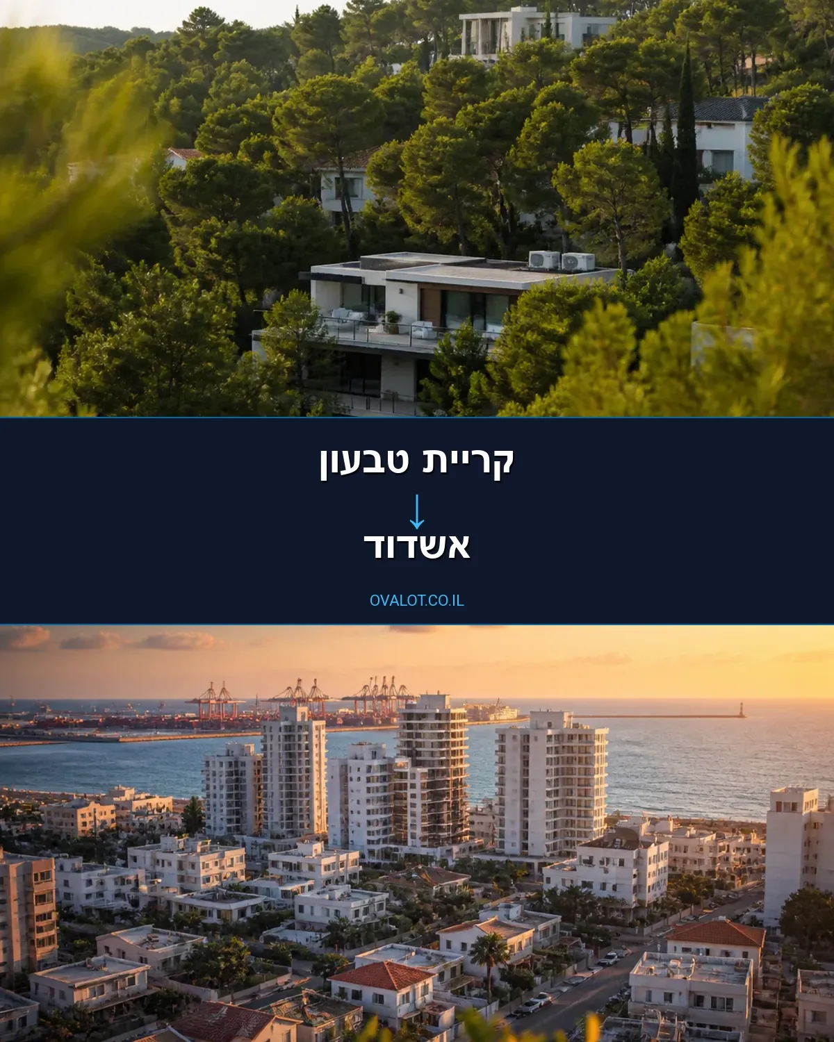 הובלות יצירות אמנות מקריית טבעון לאשדוד