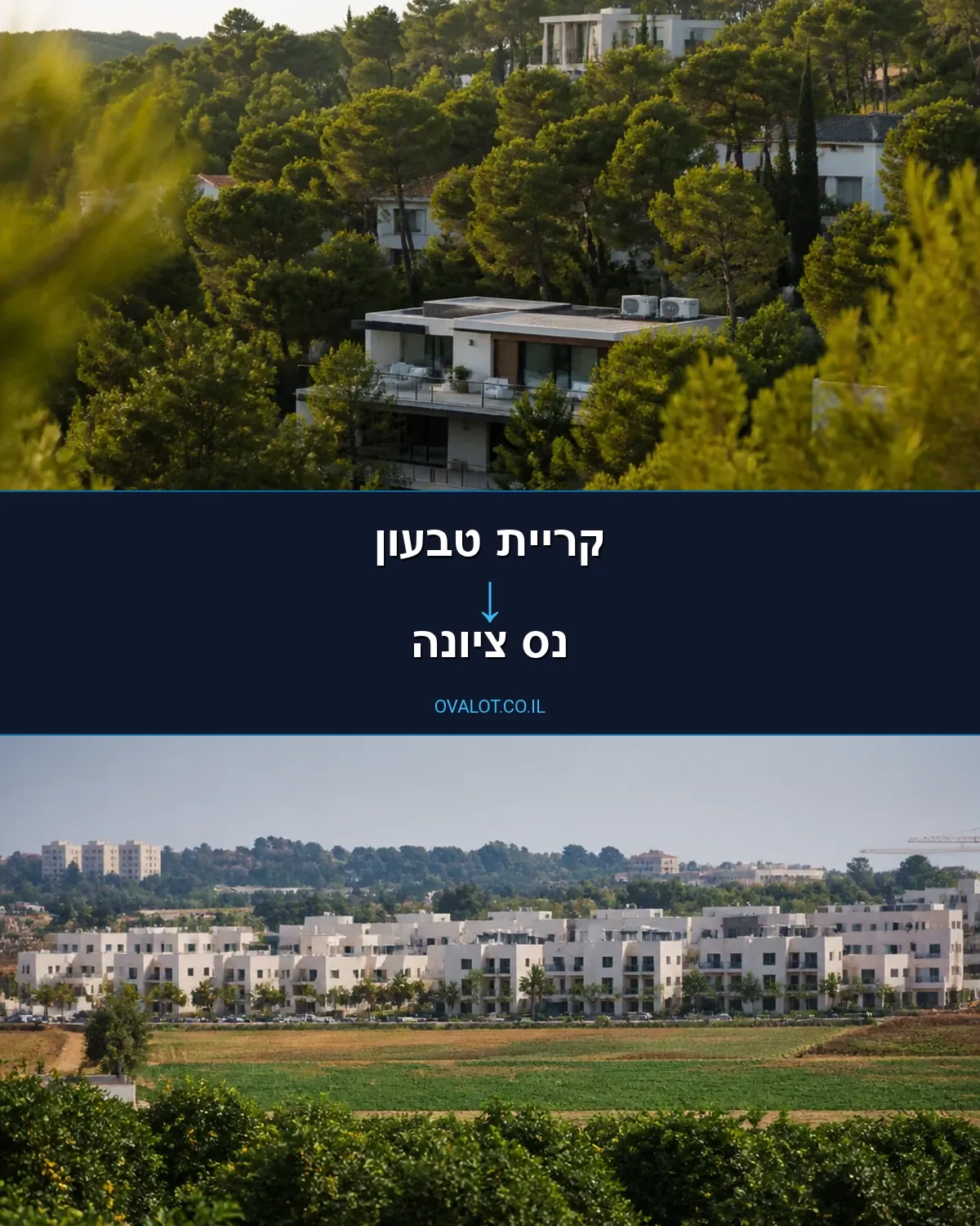 הובלות דירה מקריית טבעון לנס ציונה