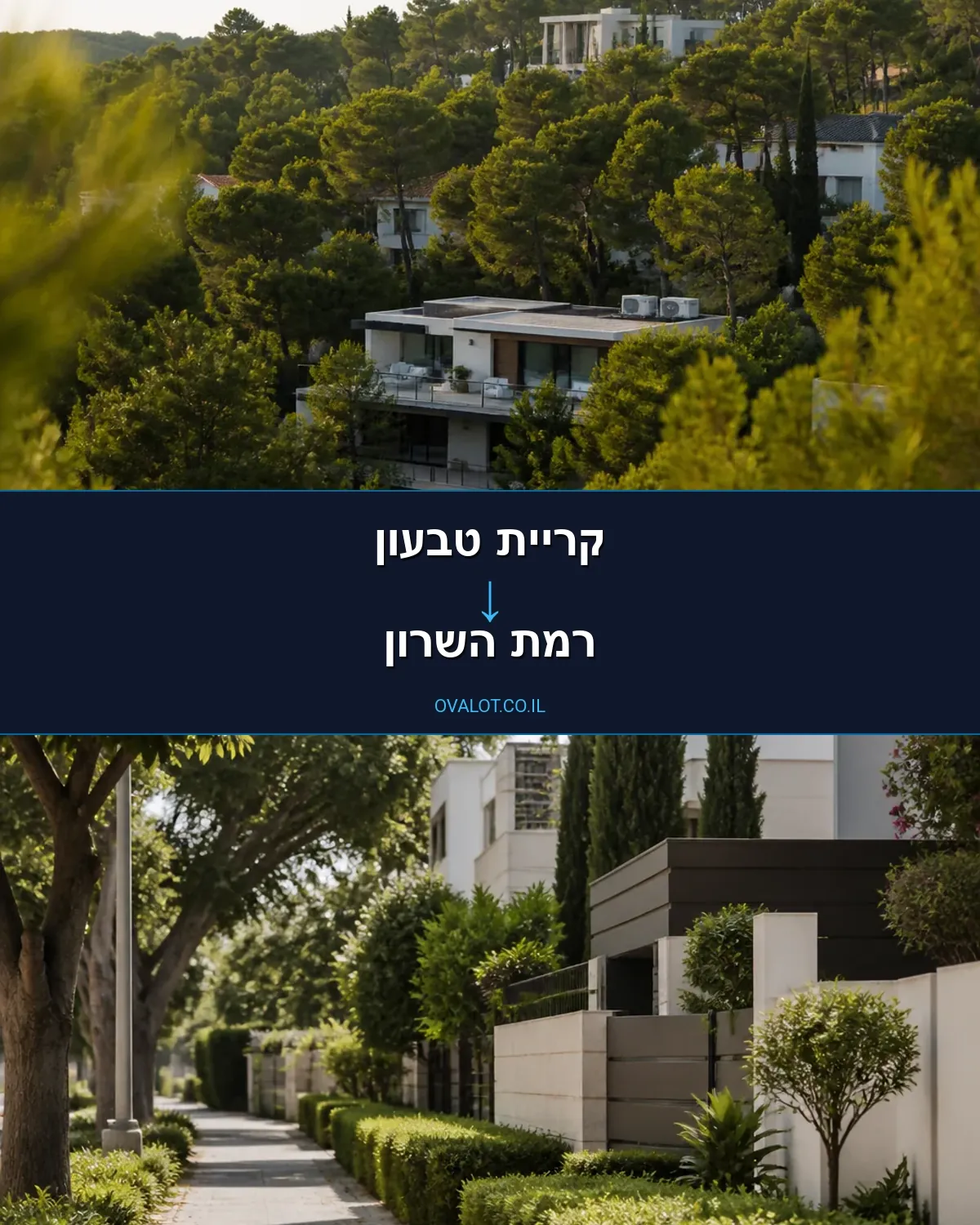 הובלות עם מנוף מקריית טבעון לרמת השרון