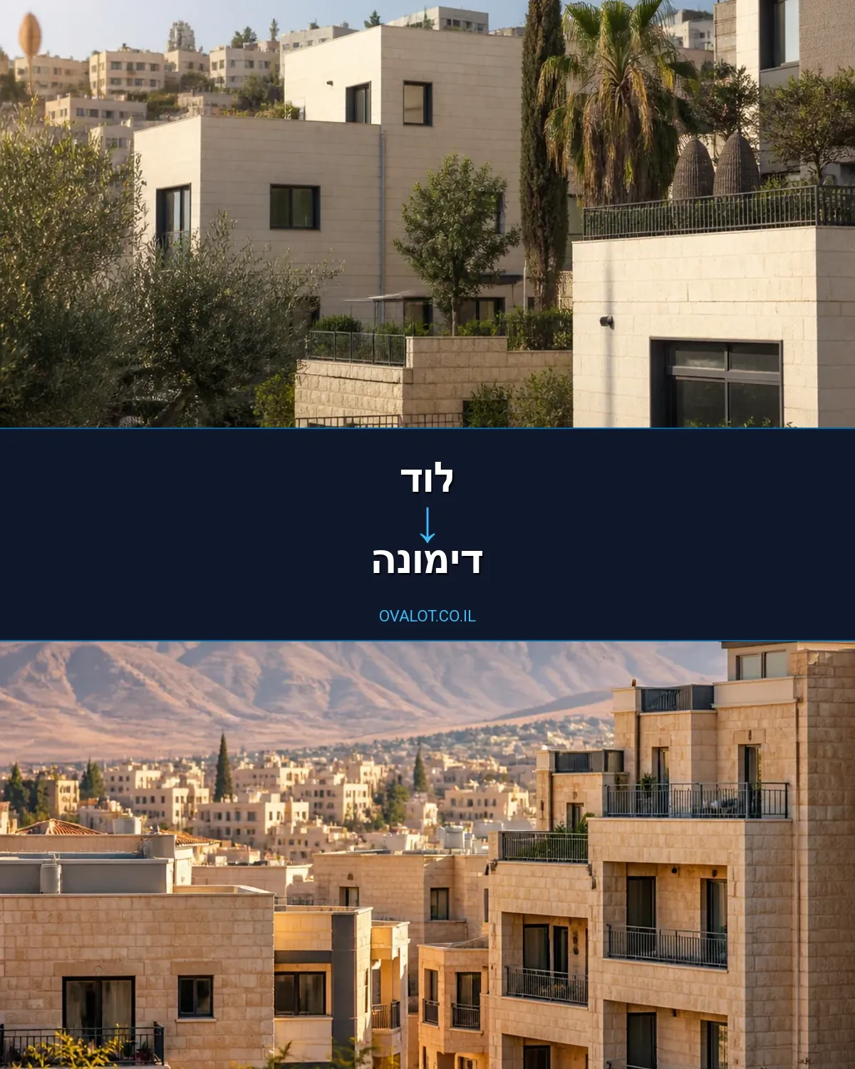 הובלה בקירור מלוד לדימונה