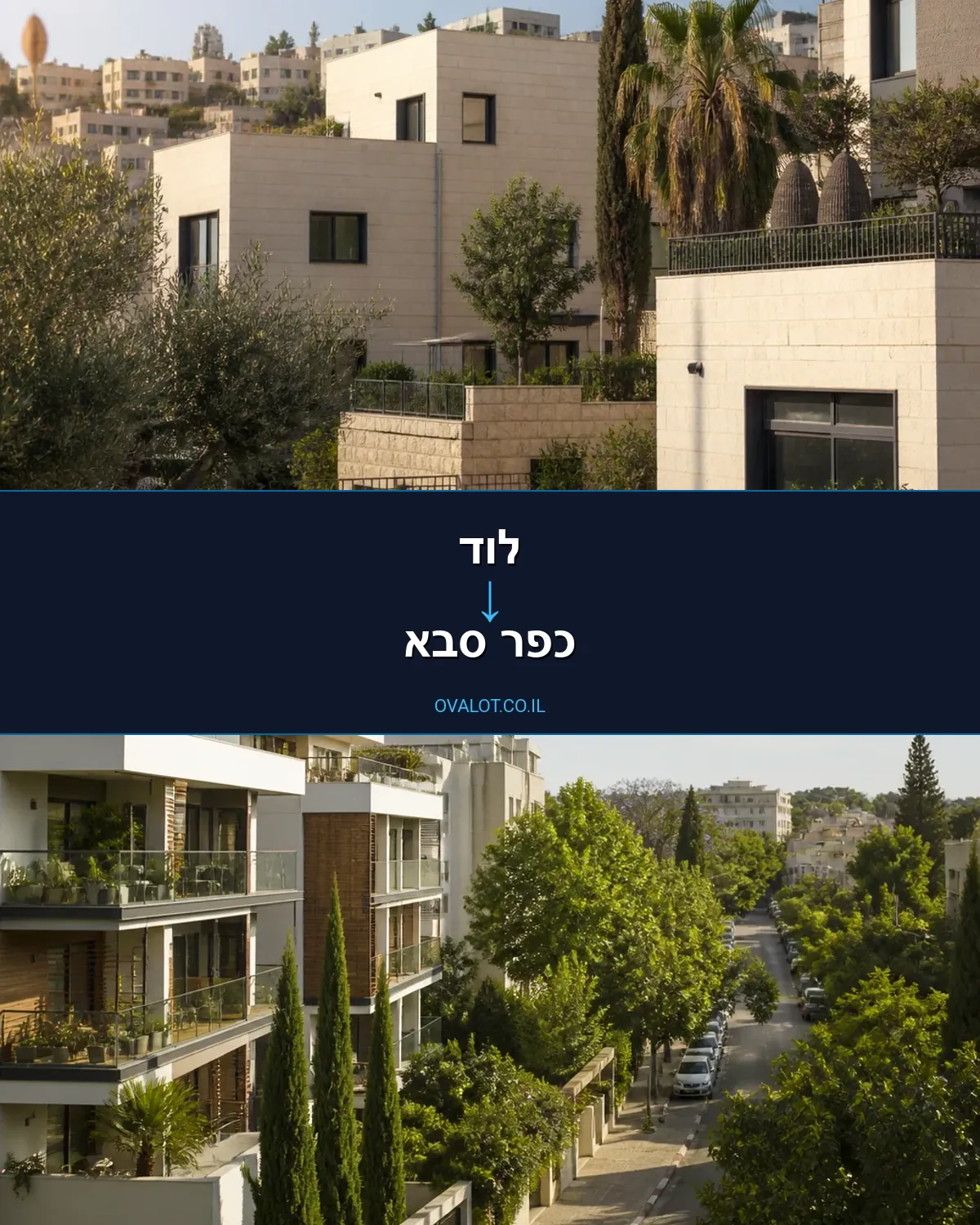 הובלה בקירור מלוד לכפר סבא