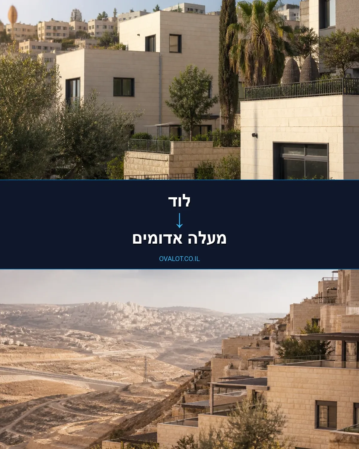 הובלות עם מנוף מלוד למעלה אדומים