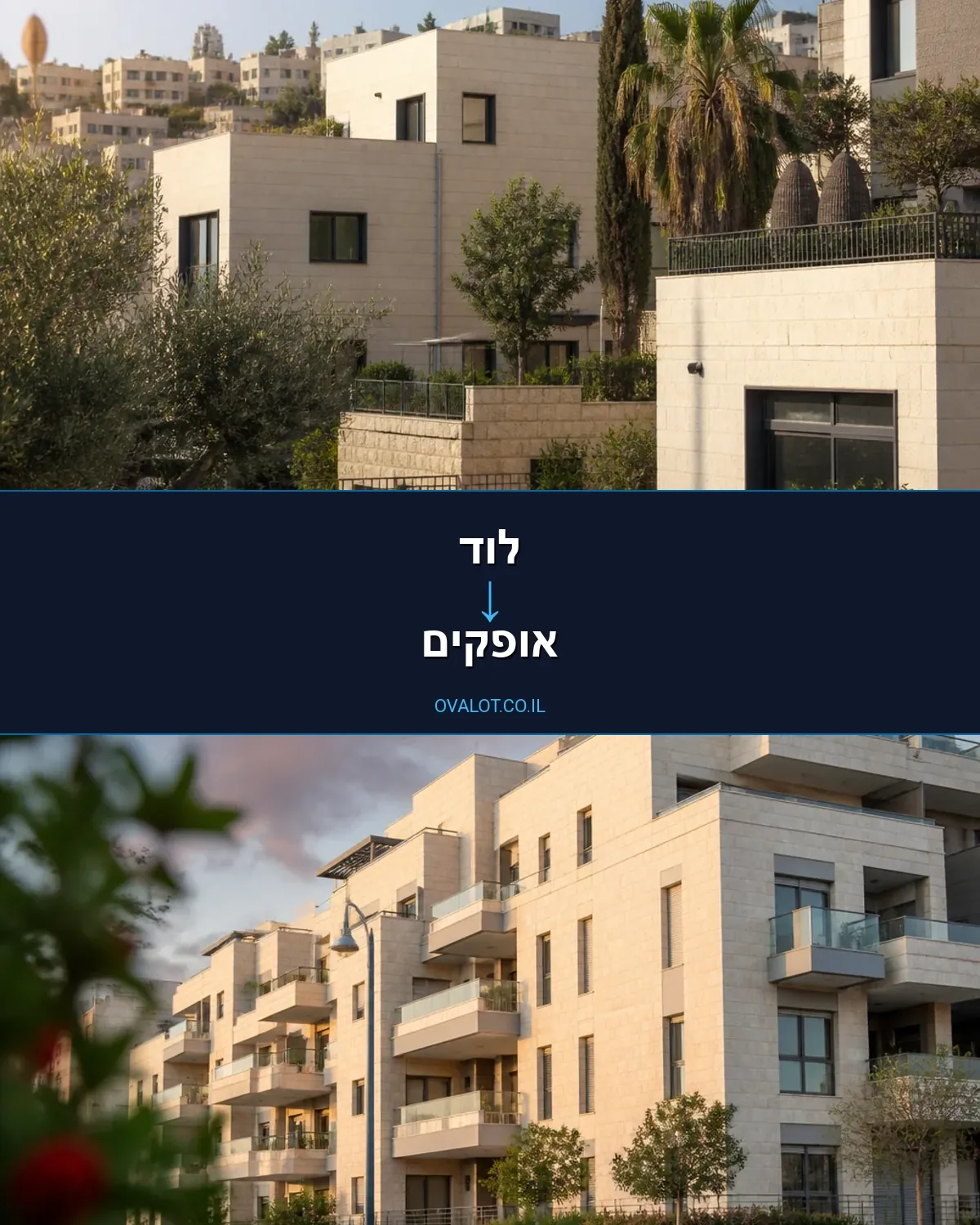 הובלה בקירור מלוד לאופקים