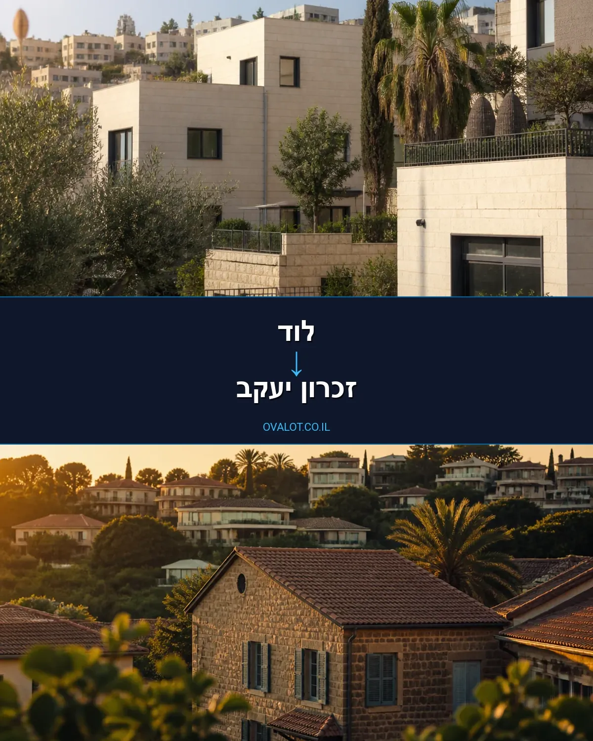 הובלות לילה מלוד לזכרון יעקב