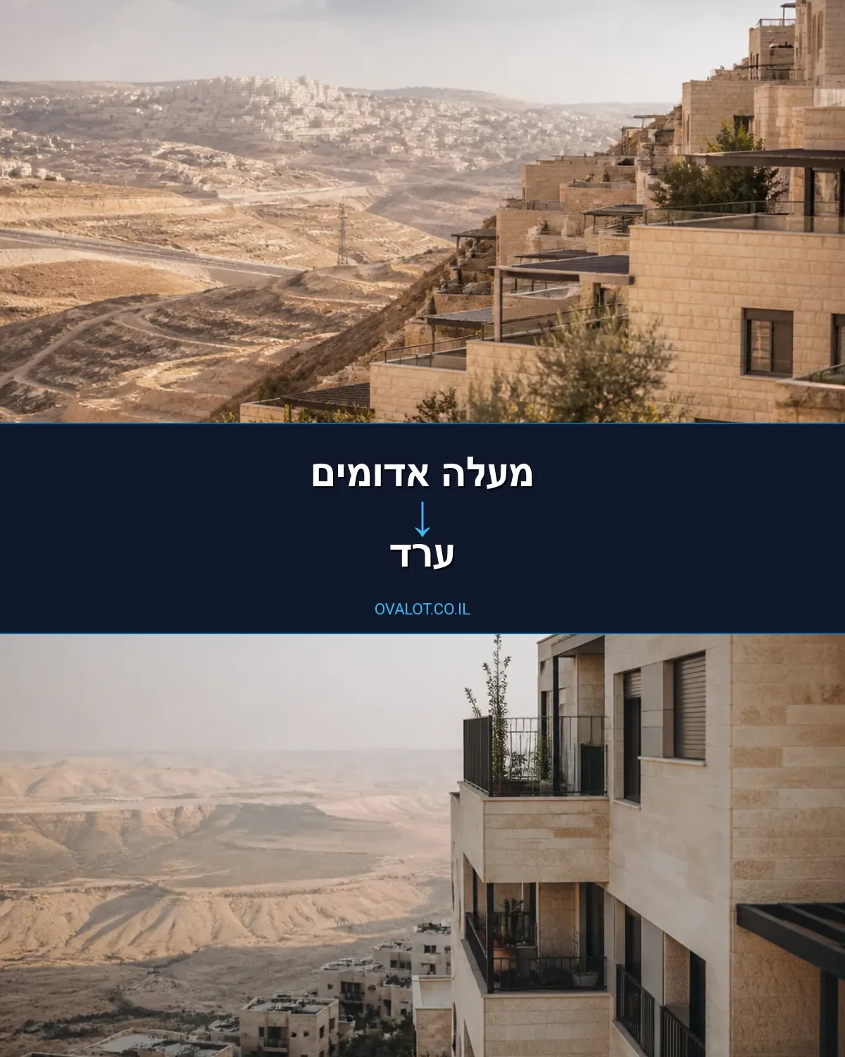 שירותי אריזה ממעלה אדומים לערד