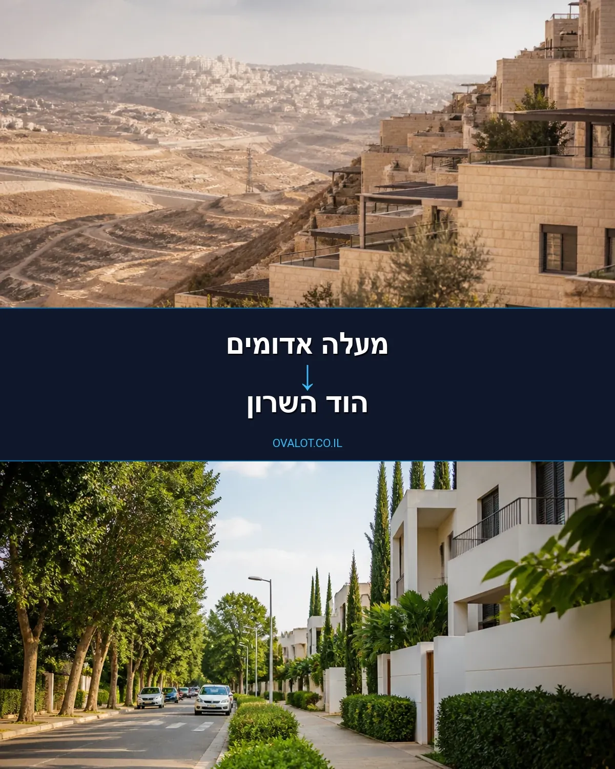 הובלות עם מעלית ממעלה אדומים להוד השרון