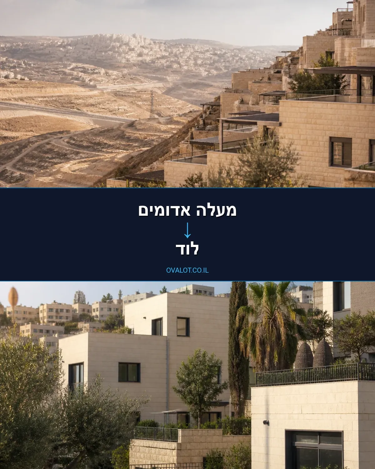 הובלות דירה ממעלה אדומים ללוד