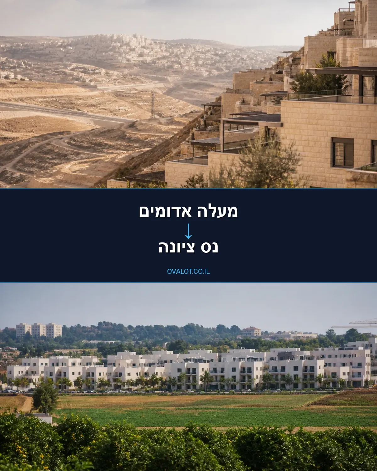 הובלות בתים פרטיים ממעלה אדומים לנס ציונה