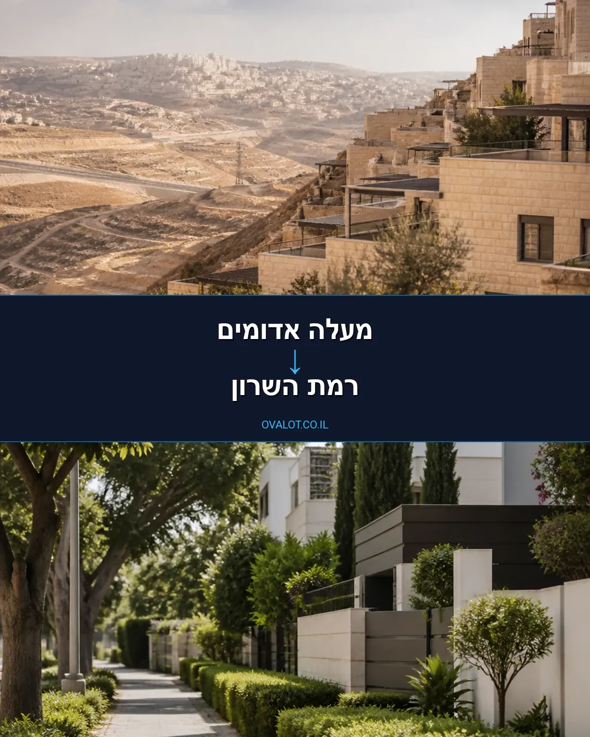 הובלות עם מנוף ממעלה אדומים לרמת השרון