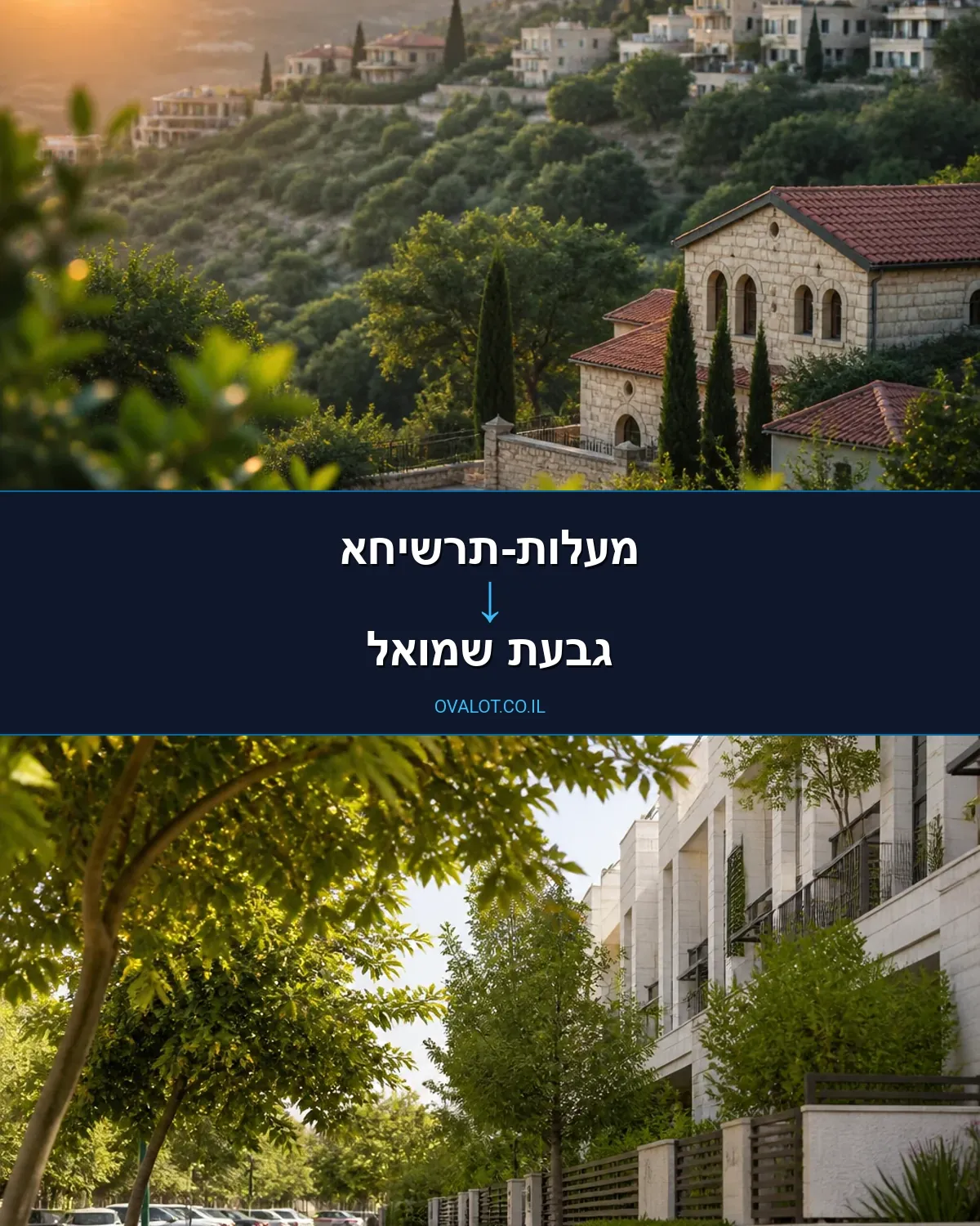 הובלות פסנתרים ממעלות-תרשיחא לגבעת שמואל