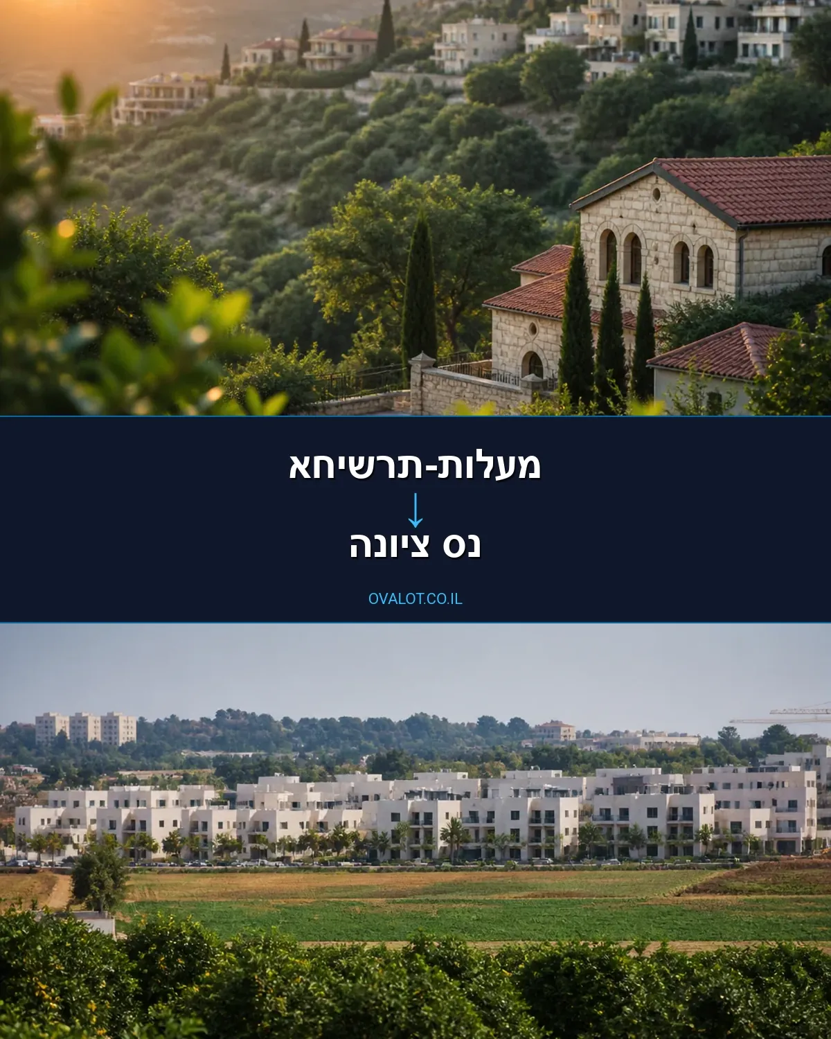 הובלות דירה ממעלות-תרשיחא לנס ציונה