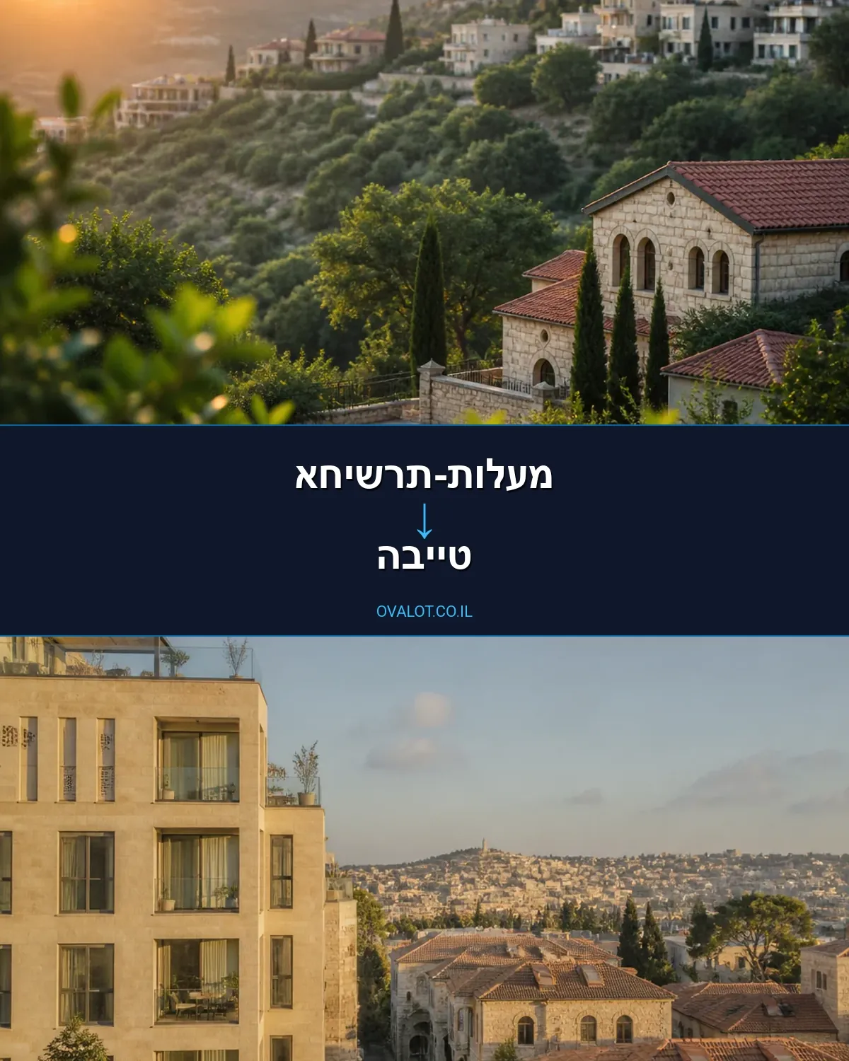 שירותי אריזה ממעלות-תרשיחא לטייבה