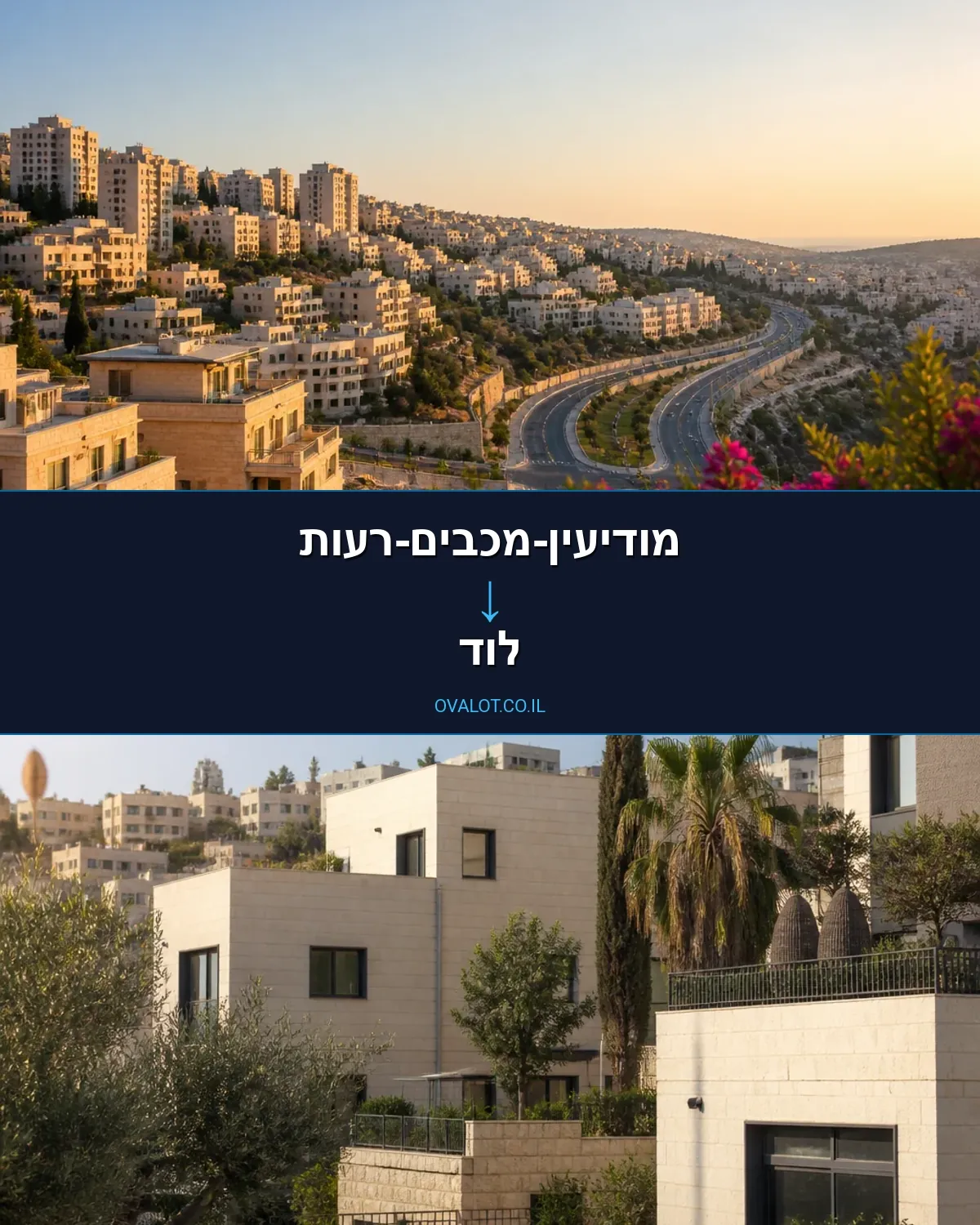 הובלות יצירות אמנות ממודיעין-מכבים-רעות ללוד